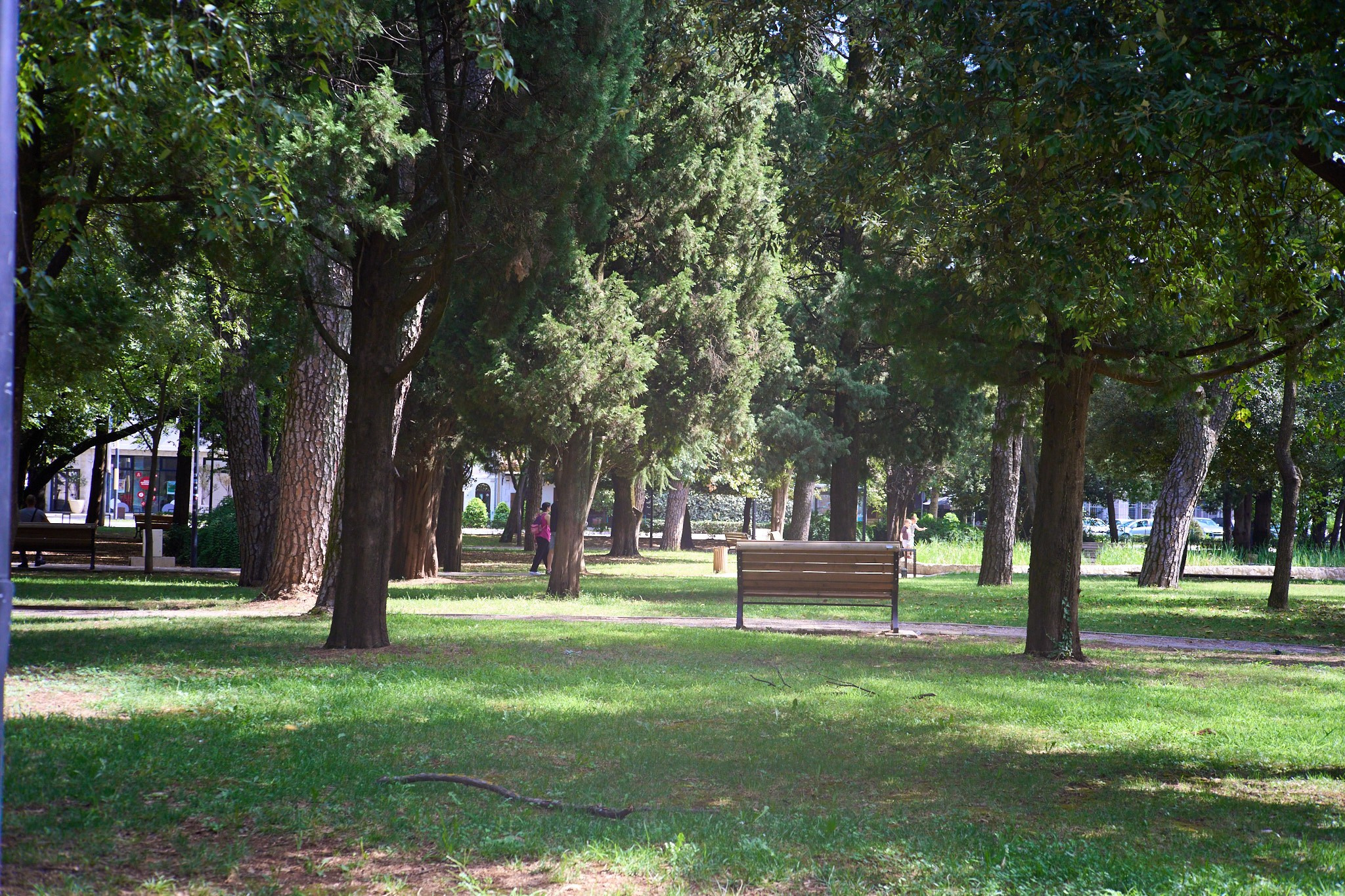 Черногория, сентябрь 2024. Фотограф, Римма Невинская