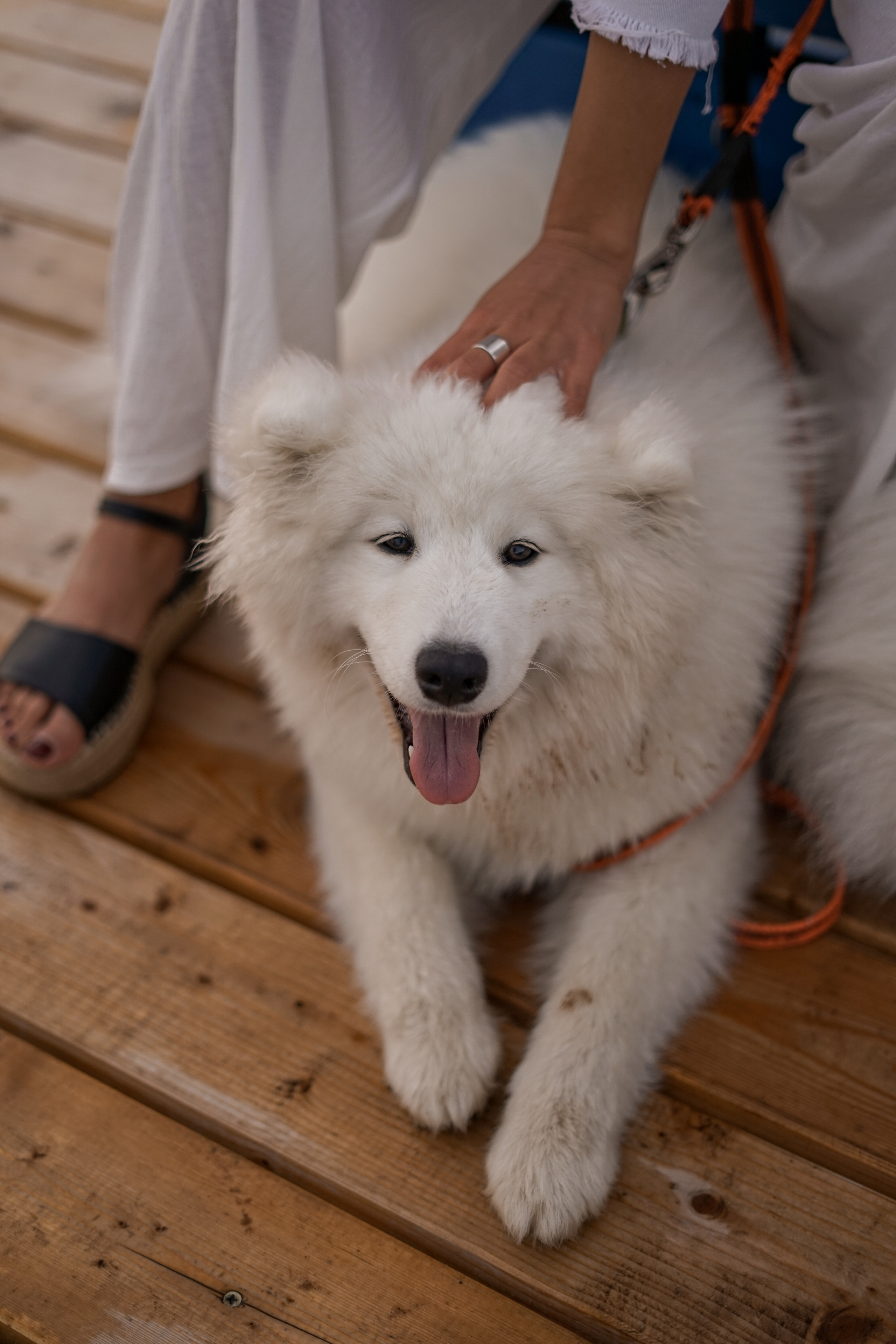 Лиза и Антон. Фотограф Москва и Серпухов