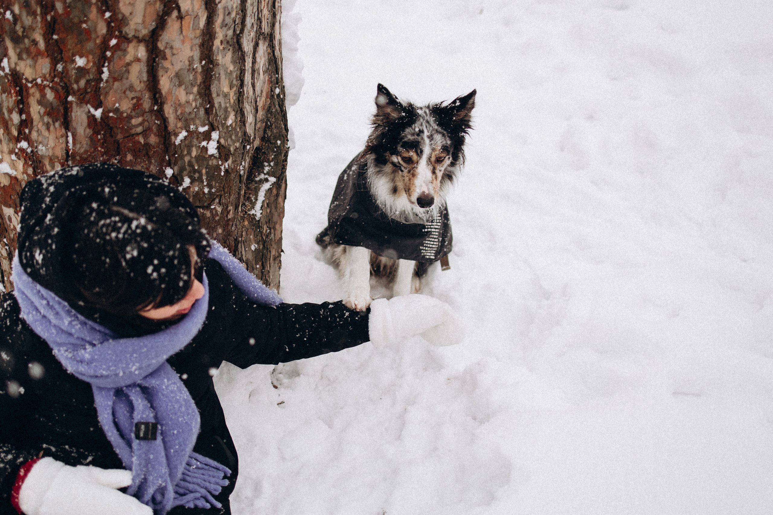 Настя и Тор. Фотораф — анималист Мария Шистка