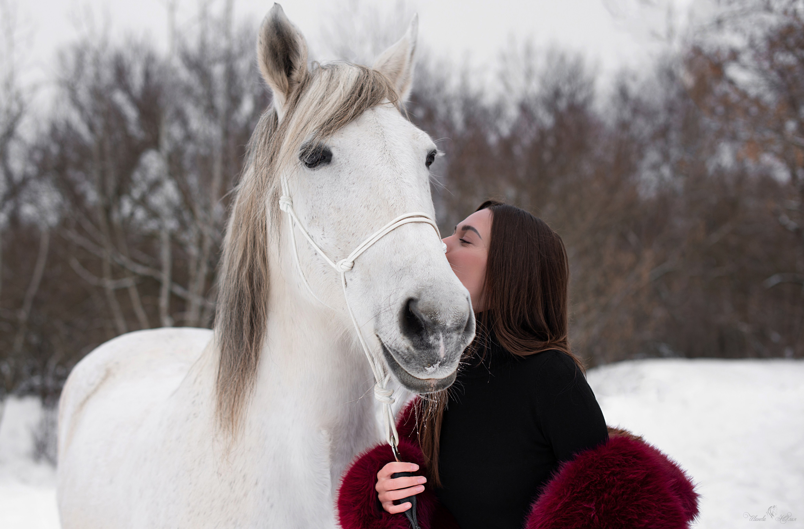 Кристина и Стрелка. Конный фотограф в Саратове Юлия Иванова