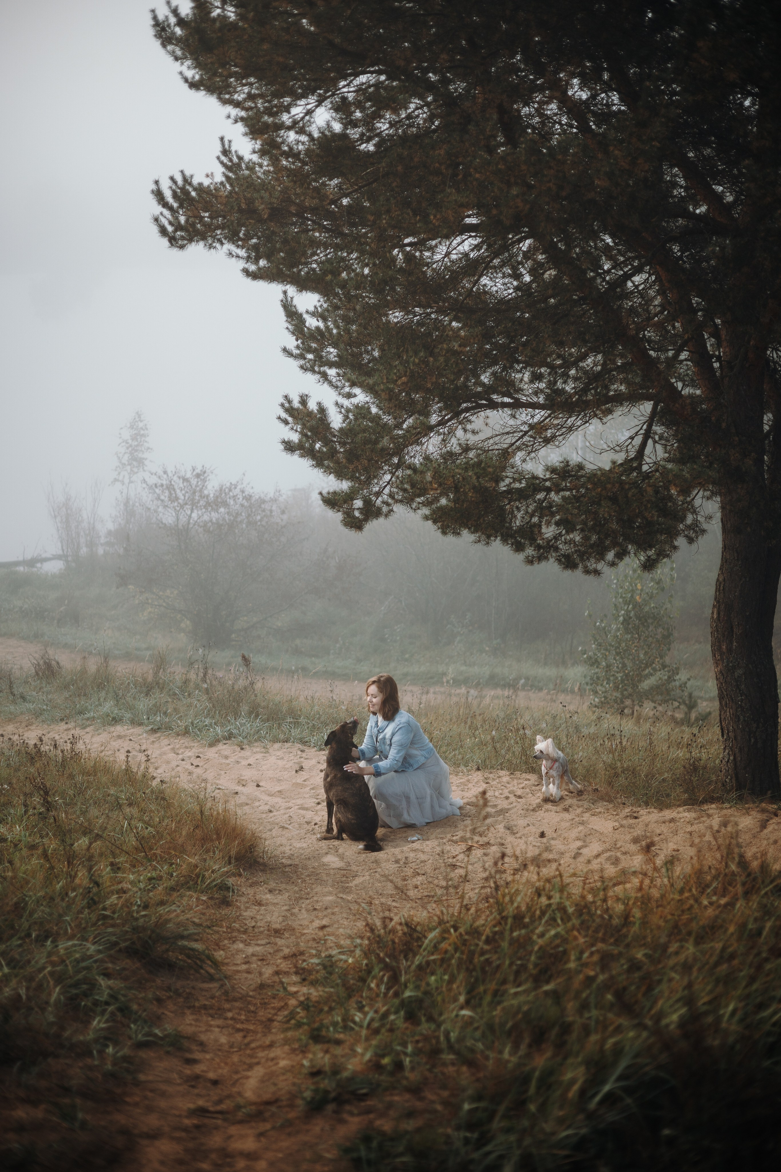 Любовь и ее хвостики. Фотограф — Анималист | Санкт-Петербург