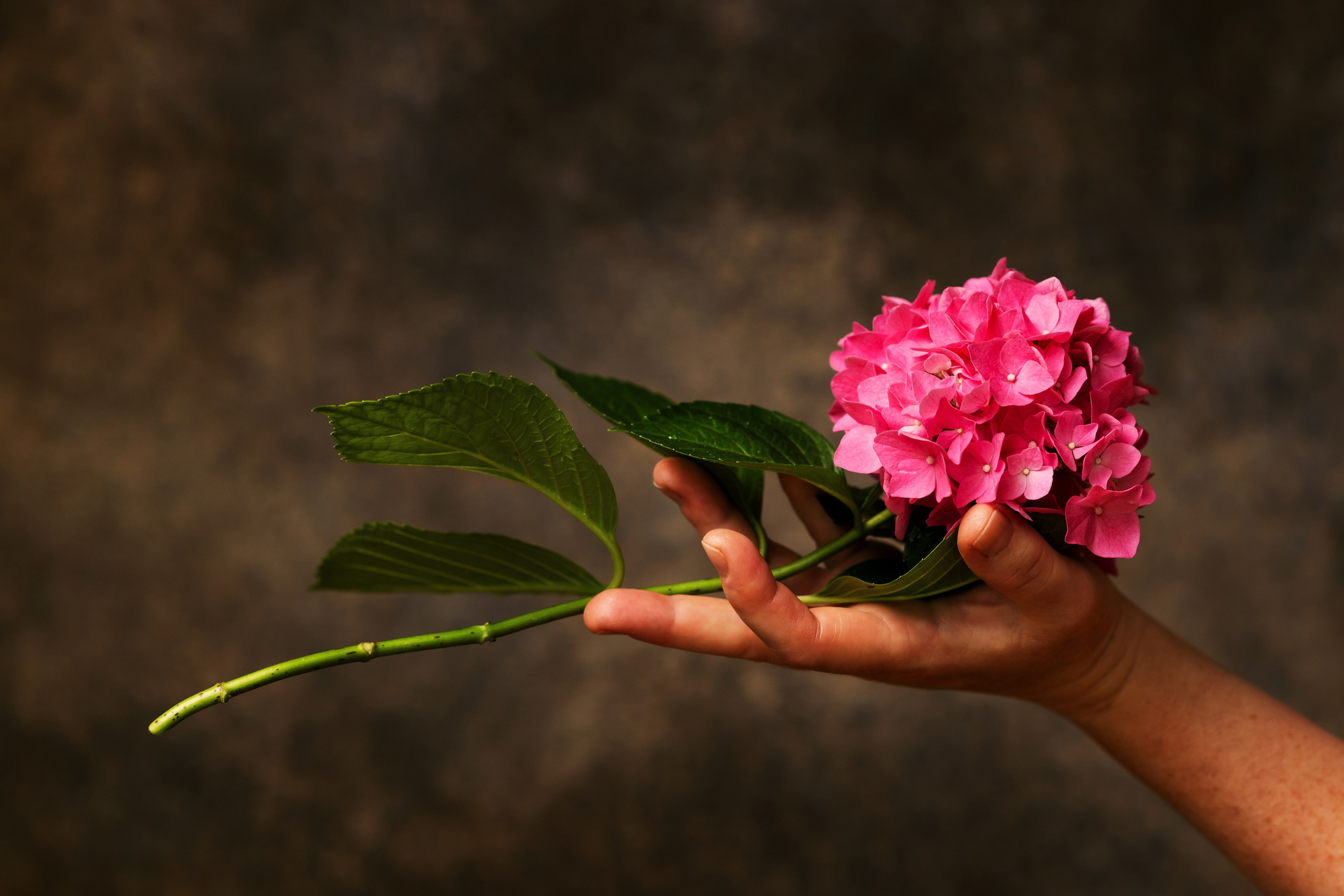 Антонина. Портретная и индивидуальная фотосъёмка в Граце и Тюмени