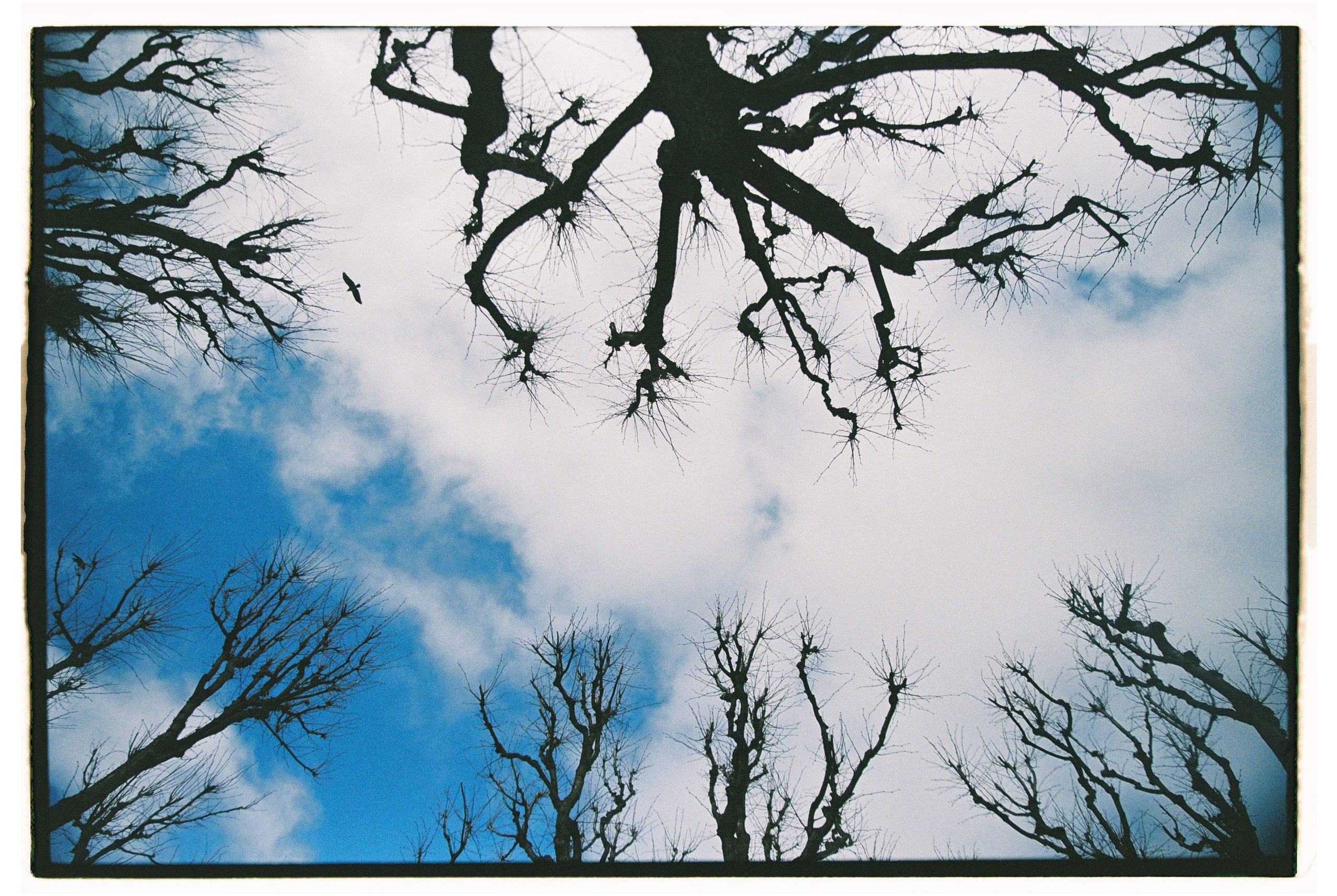 Film. Photographer, Masha Berliner