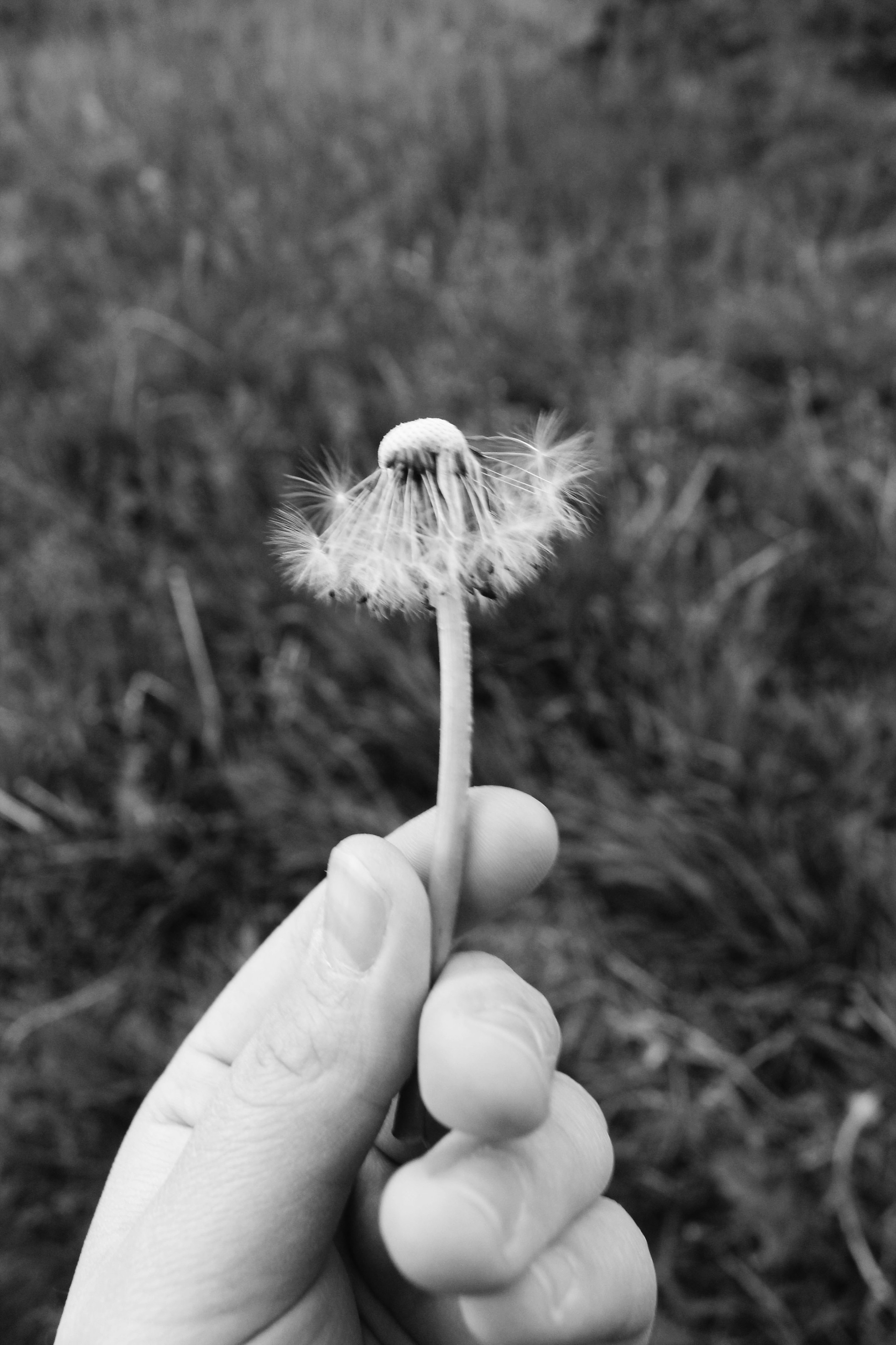 Мои первые работы. Фотограф из Москвы — DASHA NOVA | Авторская фотография в разных жанрах