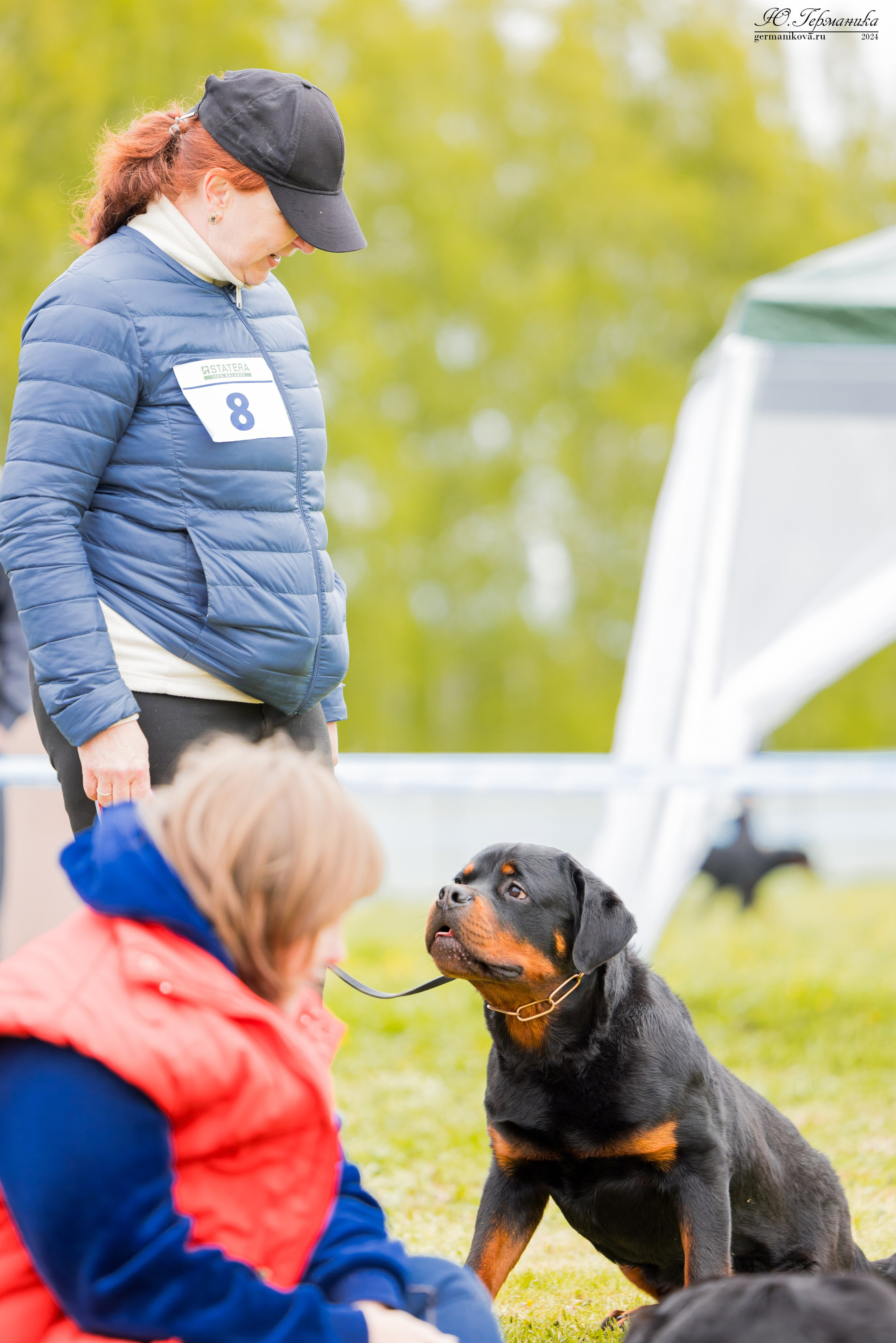 Нижний Новгород 11-12.05.2024 моно ротвейлеров. Фотограф-анималист Юлия Германика