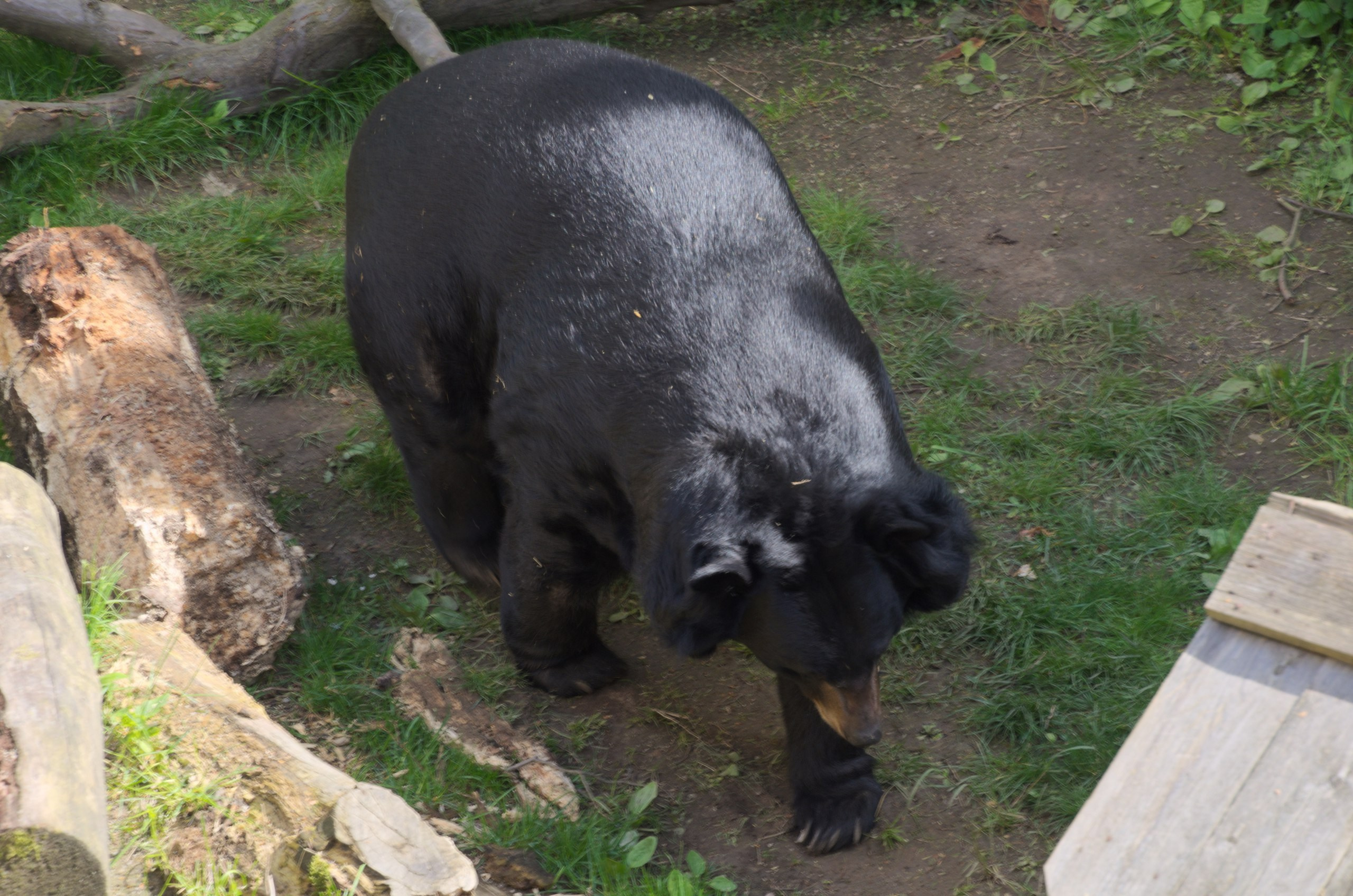 Чехия | 06-09.05.2017. Галерея Фантим