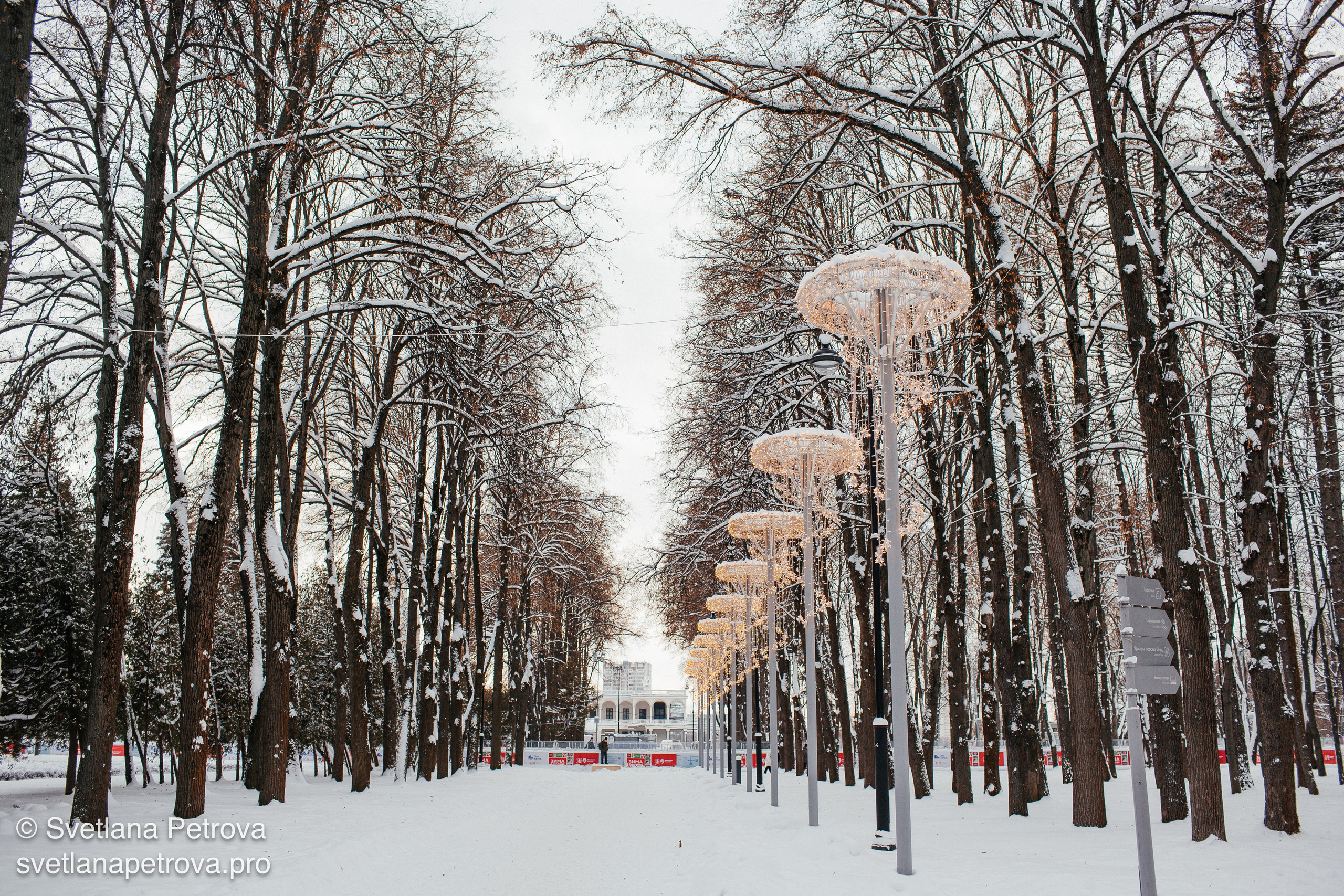 Новогодние Локации 1 января 2026. Фотограф Светлана Петрова