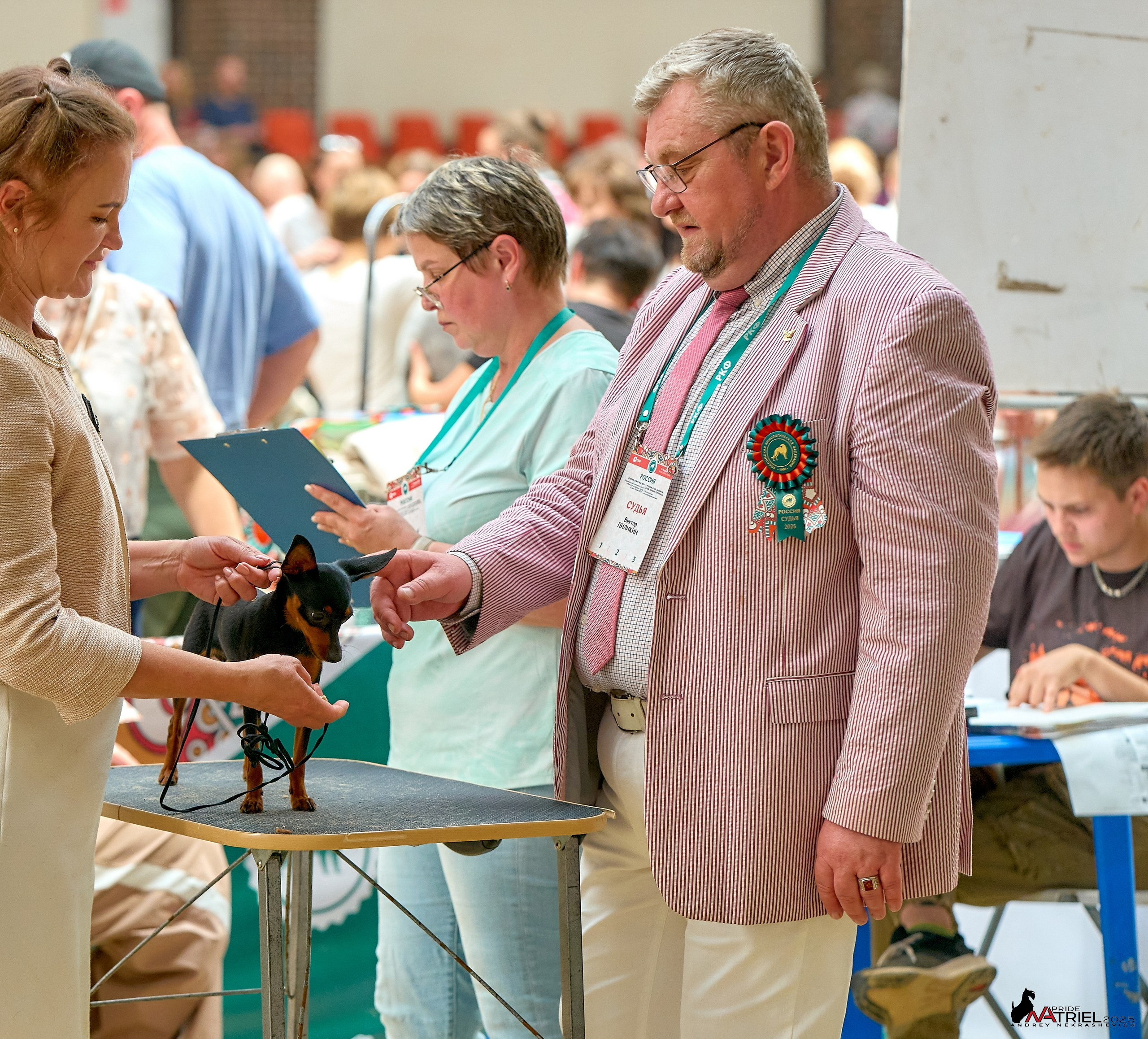 Выставка собак РОССИЯ — 2025