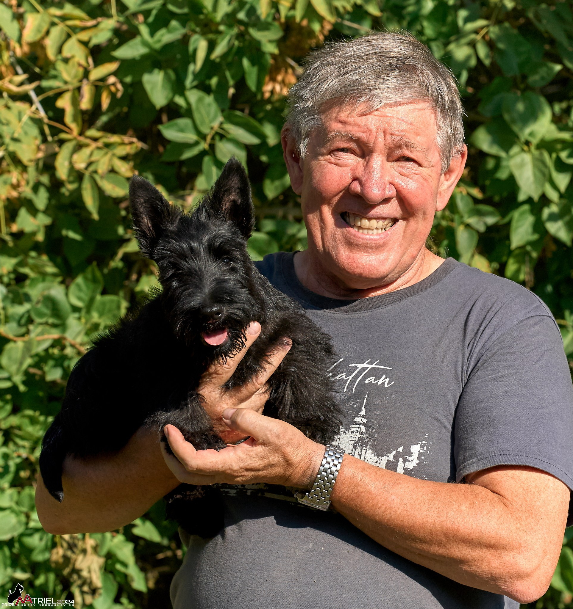 Съемка собак в питомнике