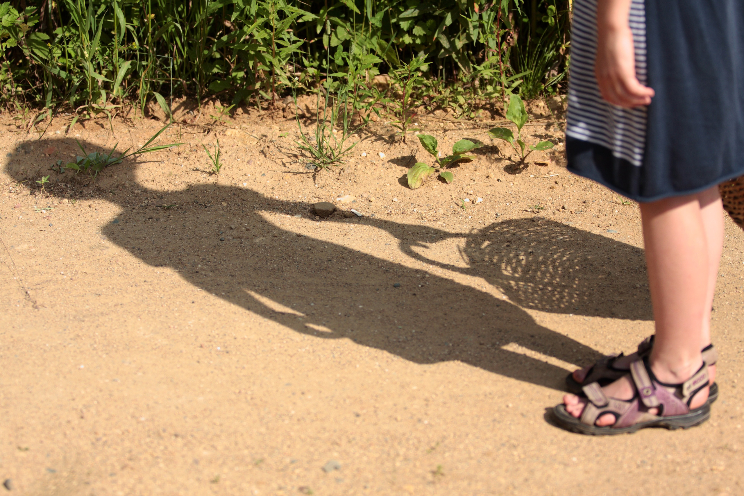 Прогулка. Фотограф Лагутин Анатолий