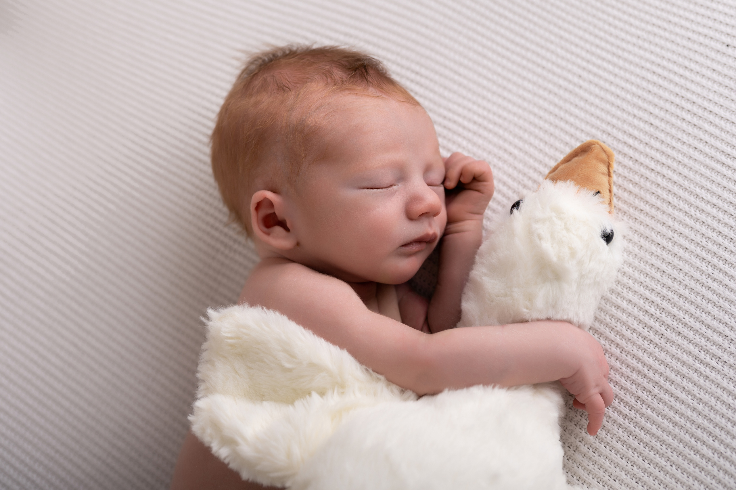 фото новорожденного мальчика