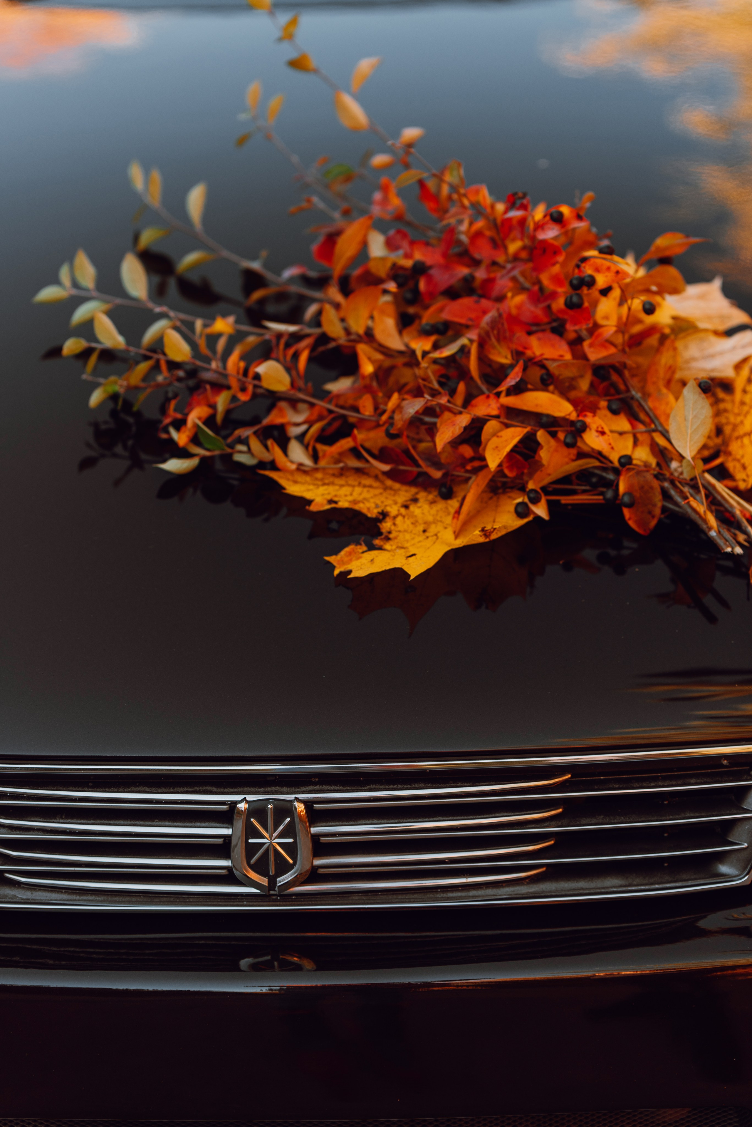 Toyota Mark ii _k_koroleva. DeLorein