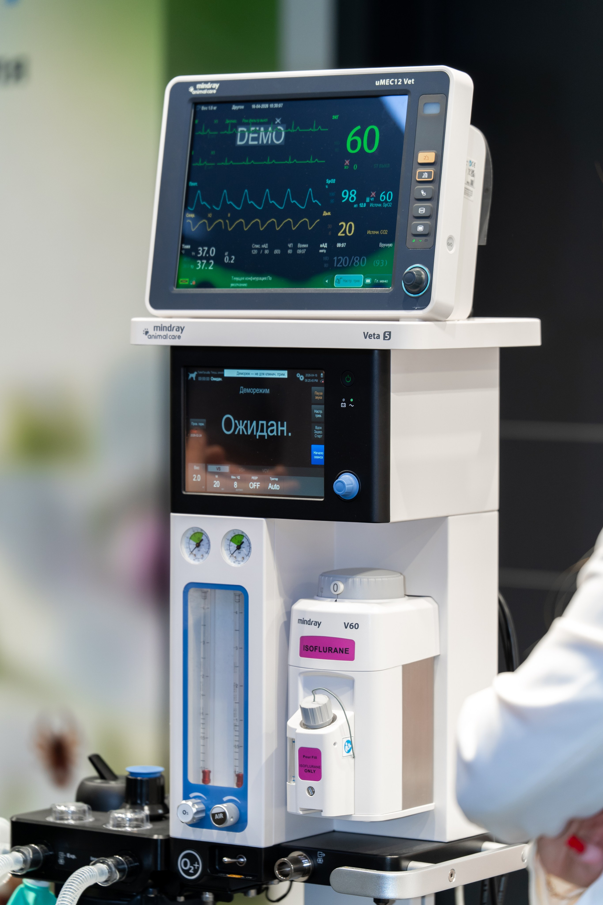 Ветеринарный фестиваль «III Уральский Глобалфест 2026». Фотограф в Екатеринбурге Юрий Кутаев