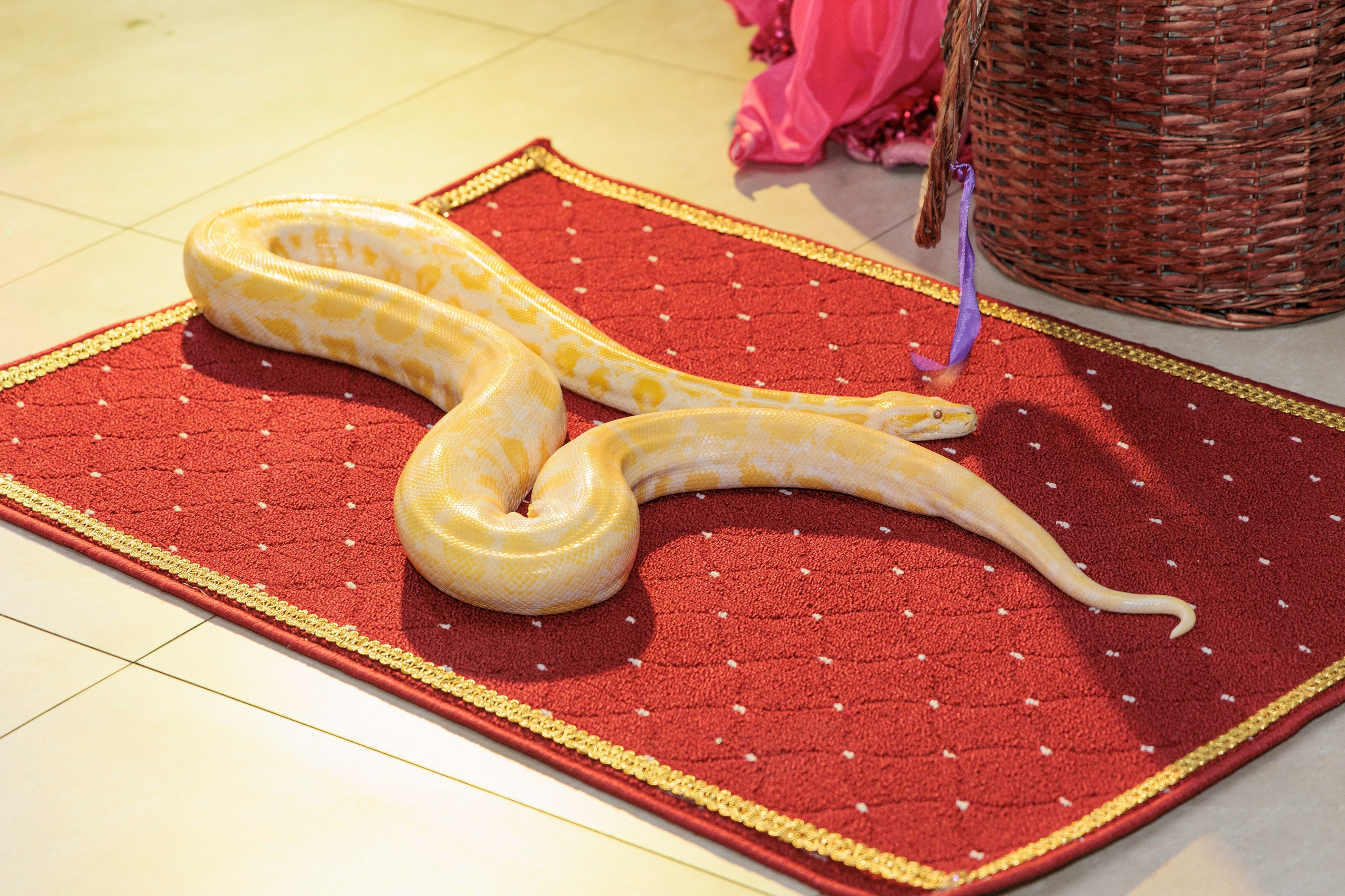 Фотограф на юбилей в Нижнем Новгороде — фото с праздника. Фотограф Нижний Новгород Мария Китаева