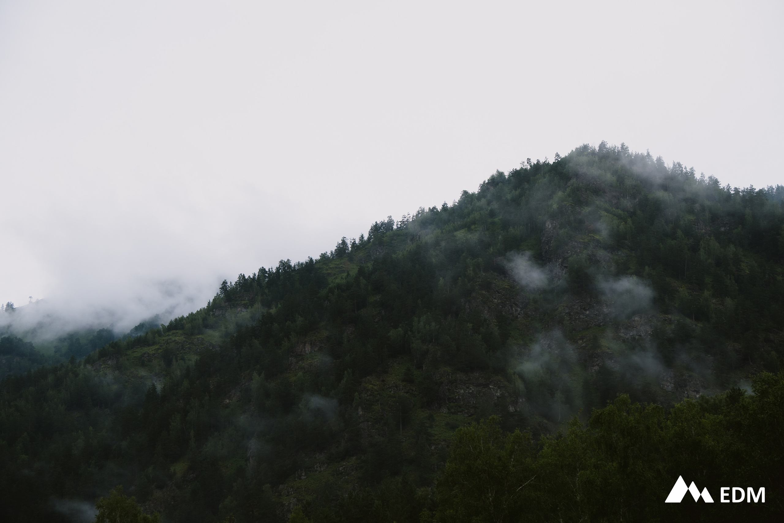 Международная конференция EDM. Фотограф Новосибирск Вероника Вишневская