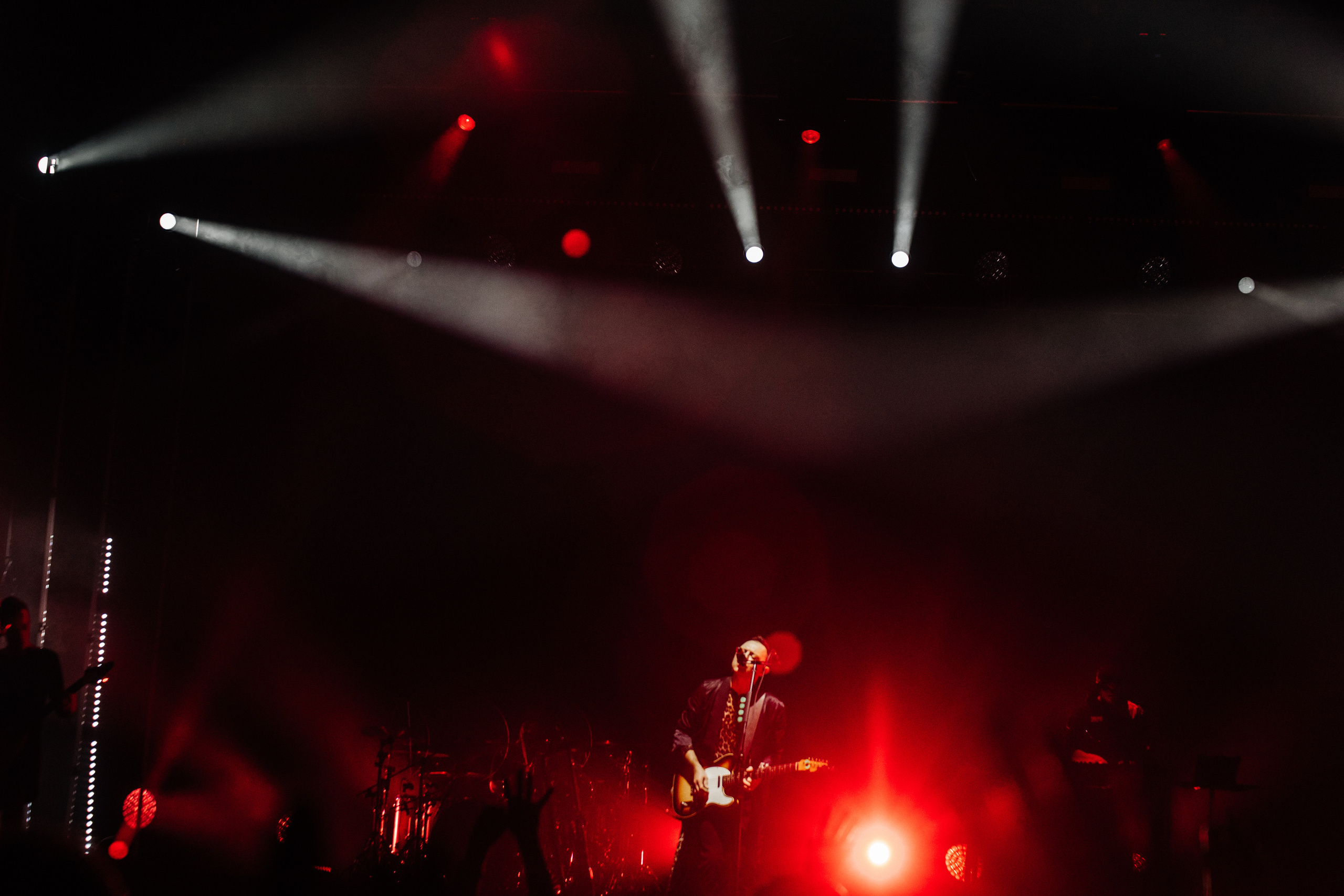 Звери. Свадебный и Репортажный фотограф Нижний Новгород Москва Ежов Иван