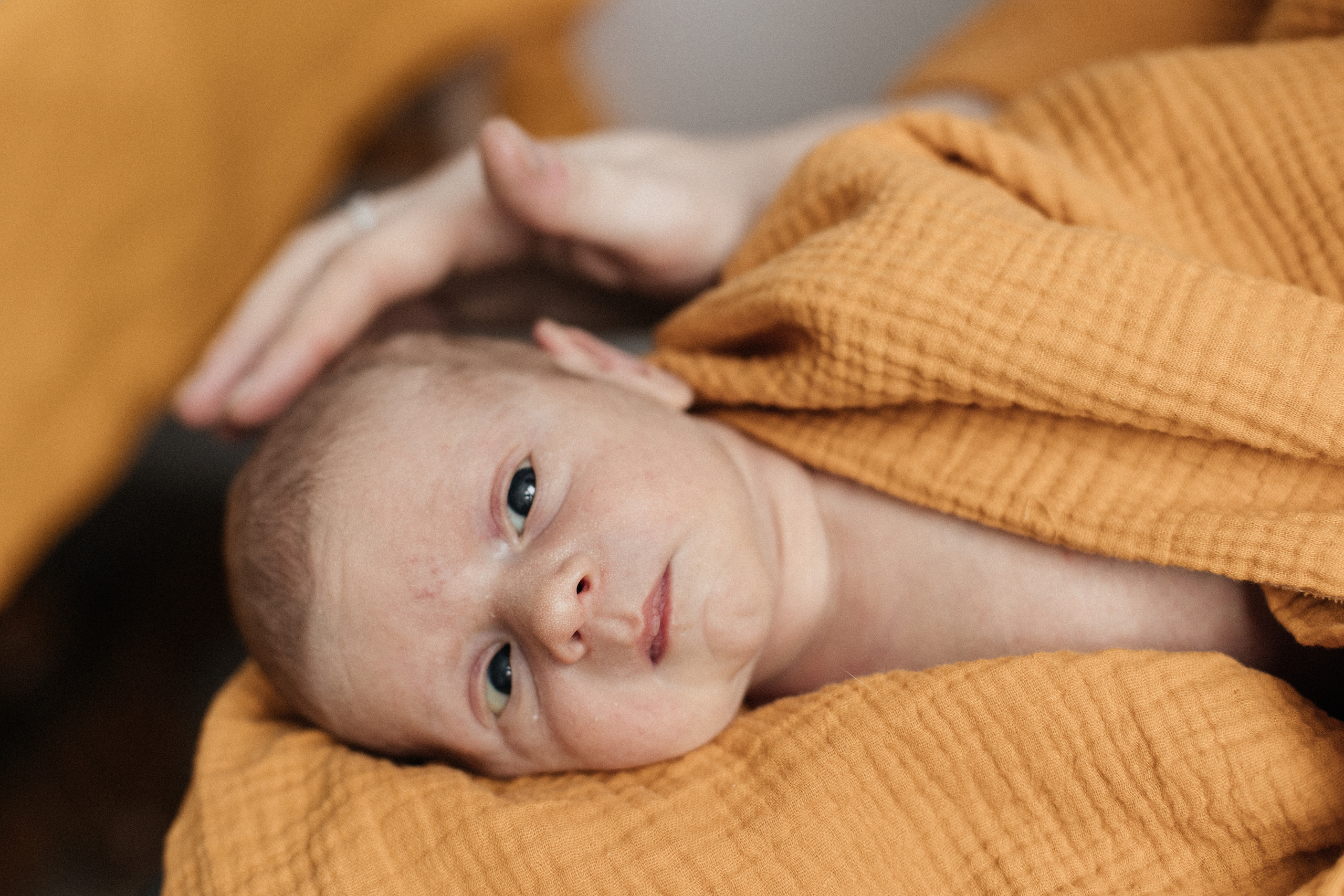 Гоша Ксюша Гриша. Свадебный и Репортажный фотограф Нижний Новгород Москва Ежов Иван