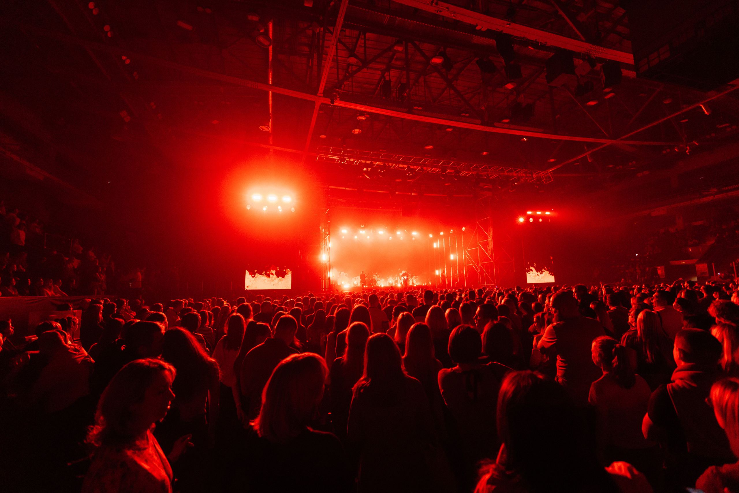 Звери. Свадебный и Репортажный фотограф Нижний Новгород Москва Ежов Иван