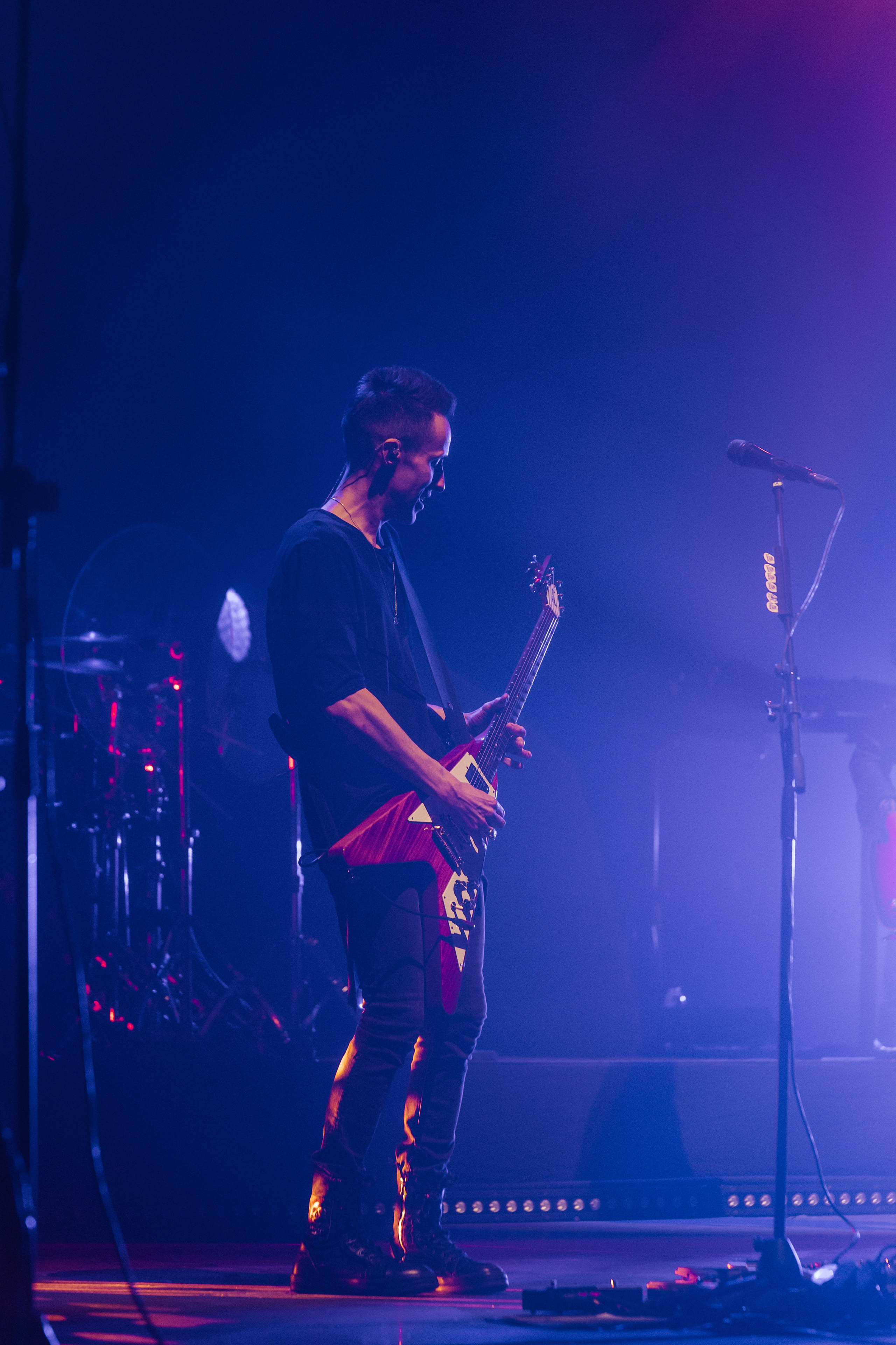 Звери. Свадебный и Репортажный фотограф Нижний Новгород Москва Ежов Иван