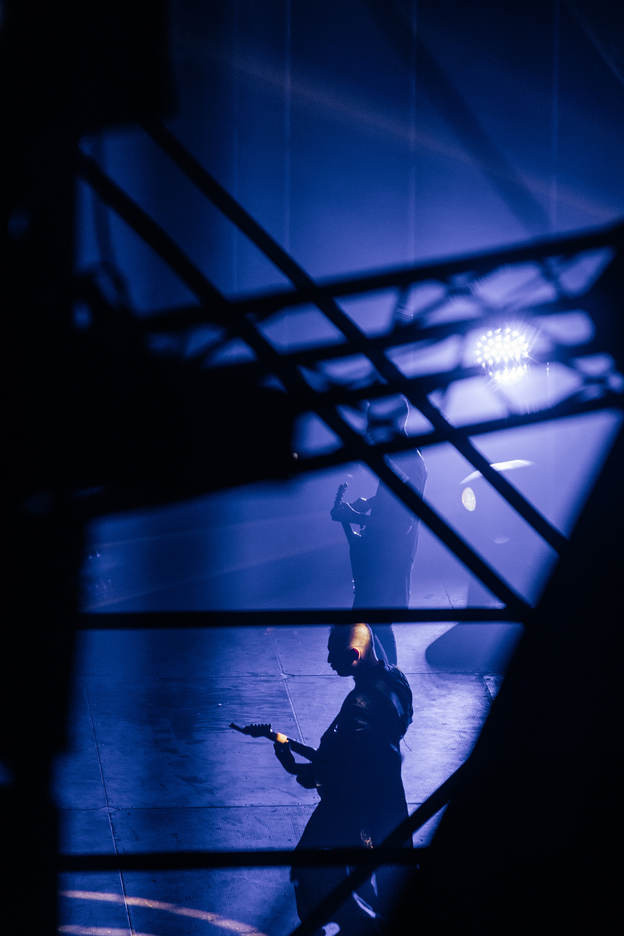 Звери. Свадебный и Репортажный фотограф Нижний Новгород Москва Ежов Иван