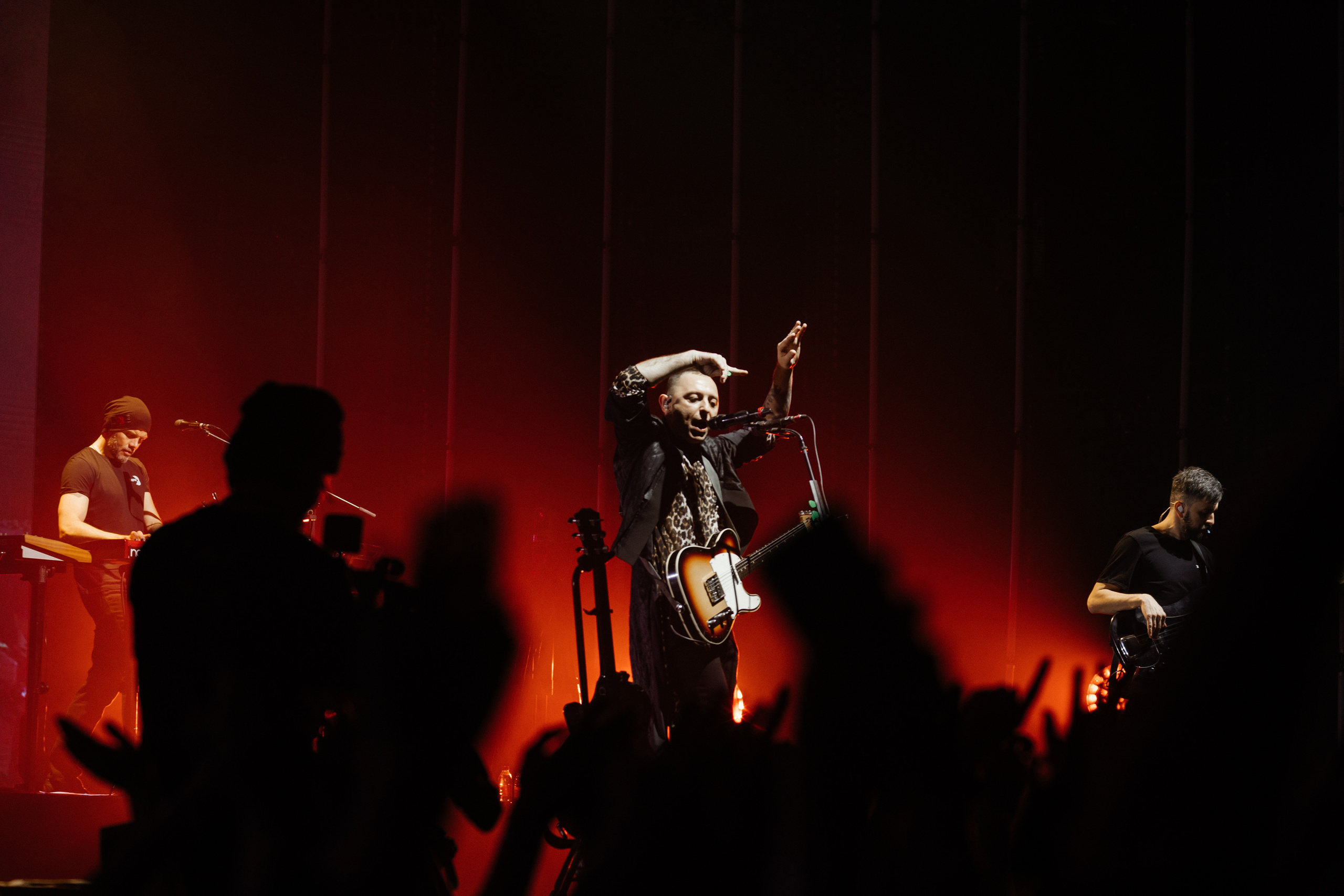 Звери. Свадебный и Репортажный фотограф Нижний Новгород Москва Ежов Иван