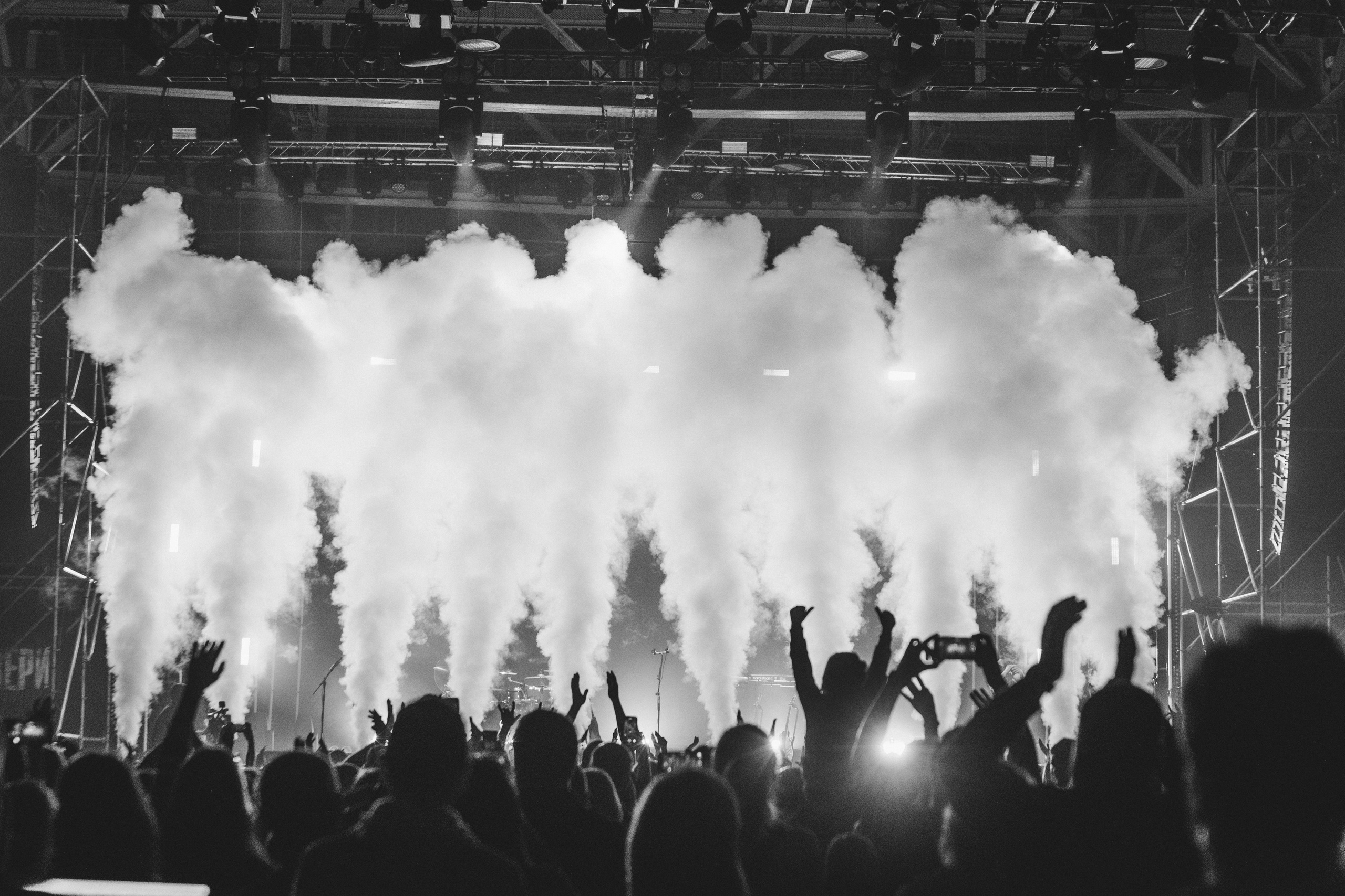 Звери. Свадебный и Репортажный фотограф Нижний Новгород Москва Ежов Иван