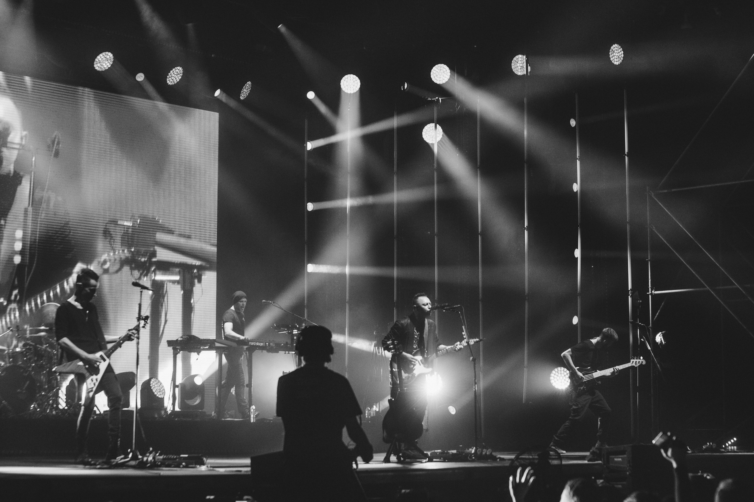 Звери. Свадебный и Репортажный фотограф Нижний Новгород Москва Ежов Иван