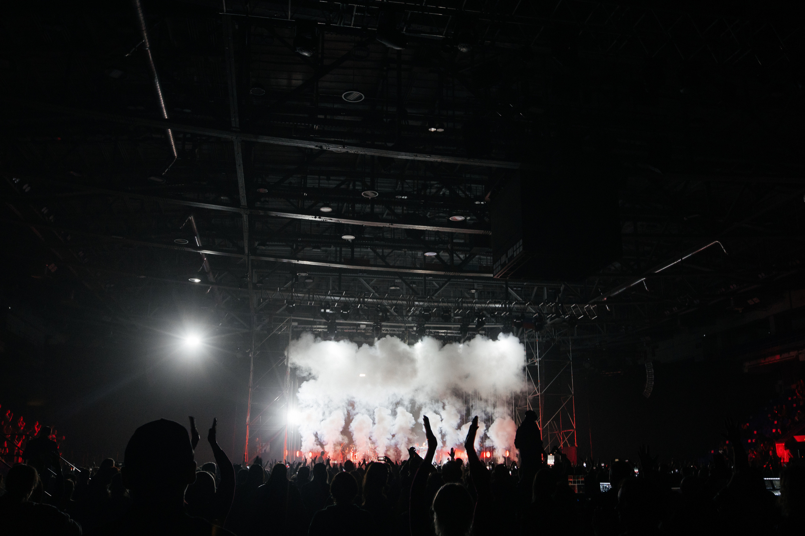 Звери. Свадебный и Репортажный фотограф Нижний Новгород Москва Ежов Иван