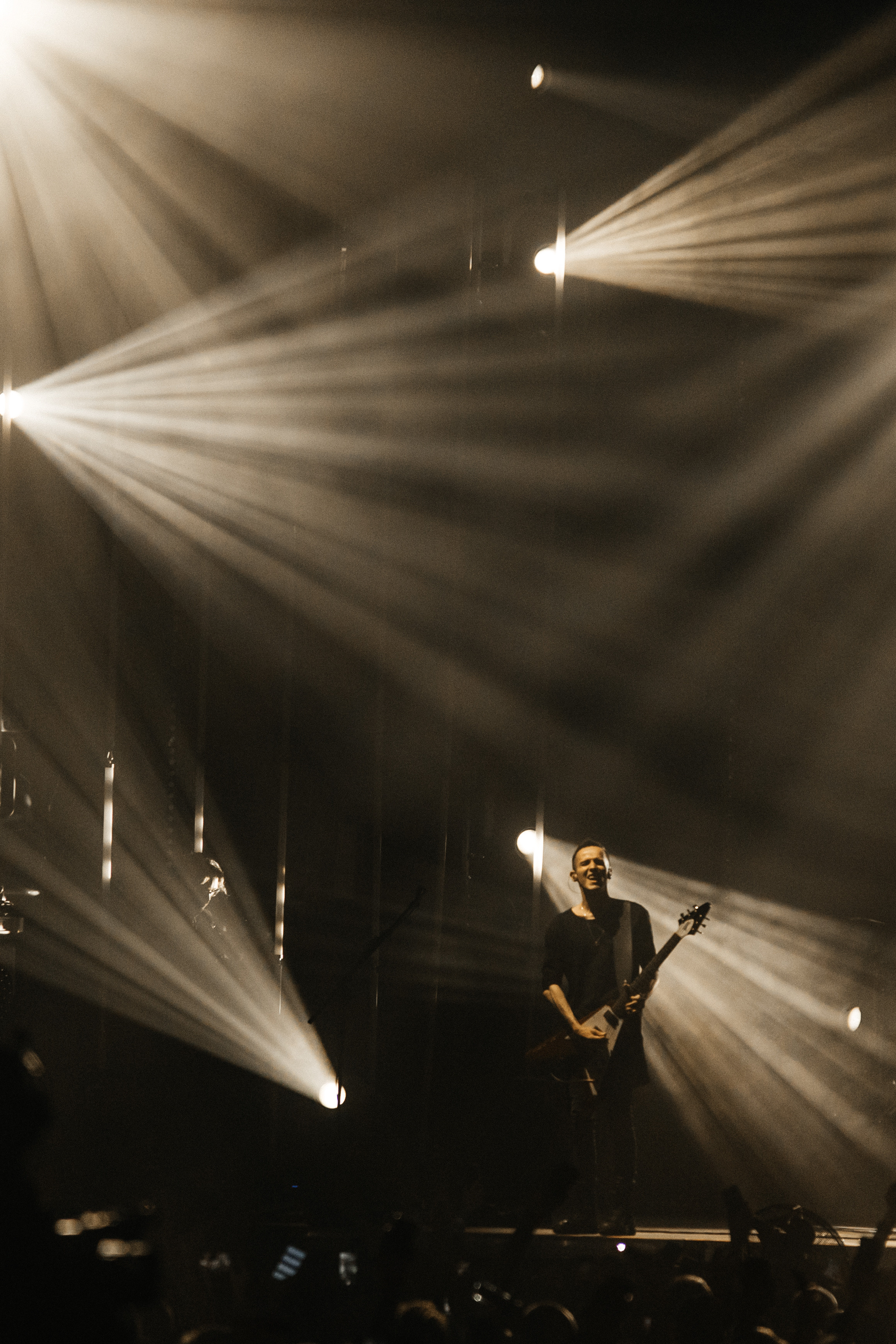 Звери. Свадебный и Репортажный фотограф Нижний Новгород Москва Ежов Иван