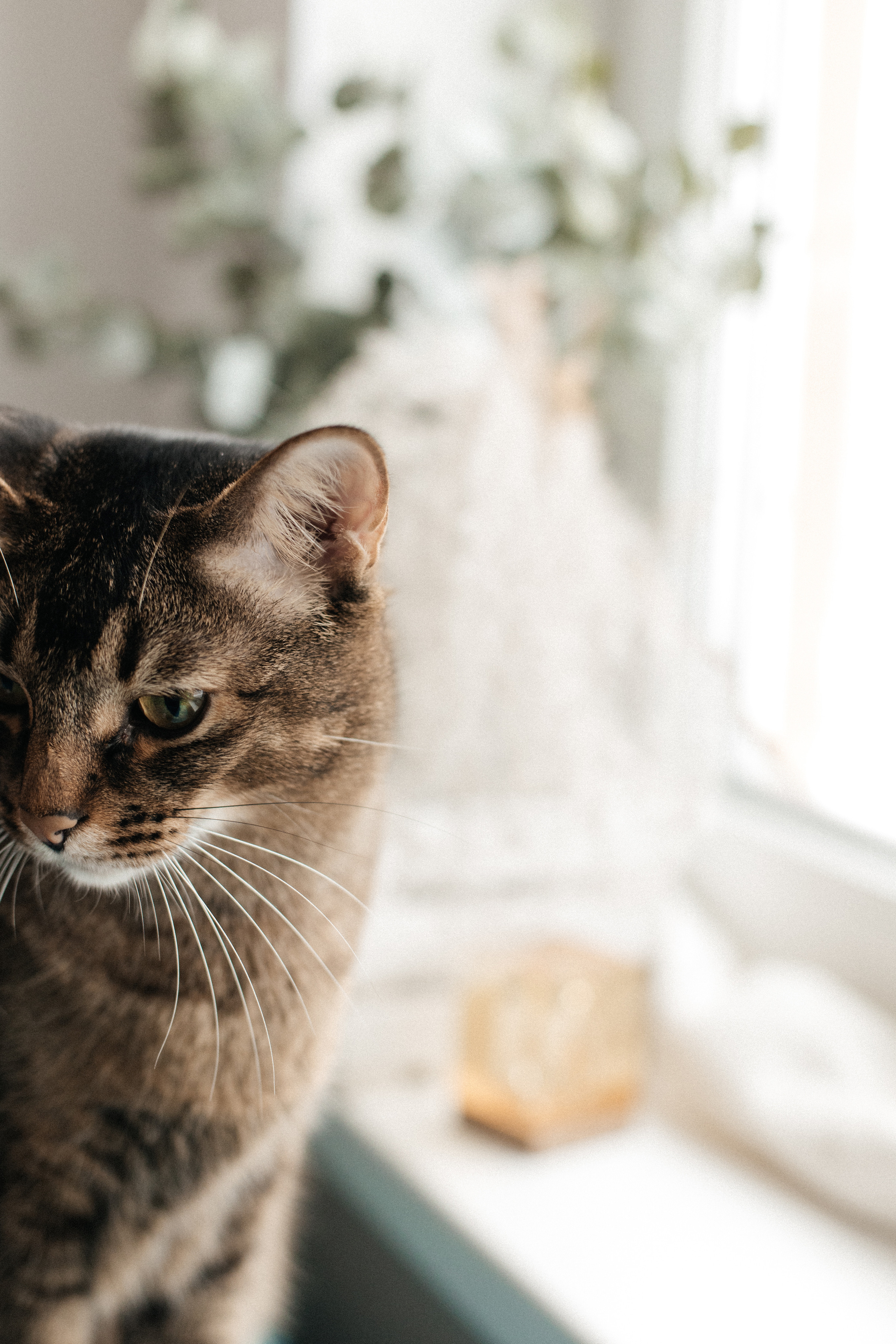 Гоша Ксюша Гриша. Свадебный и Репортажный фотограф Нижний Новгород Москва Ежов Иван