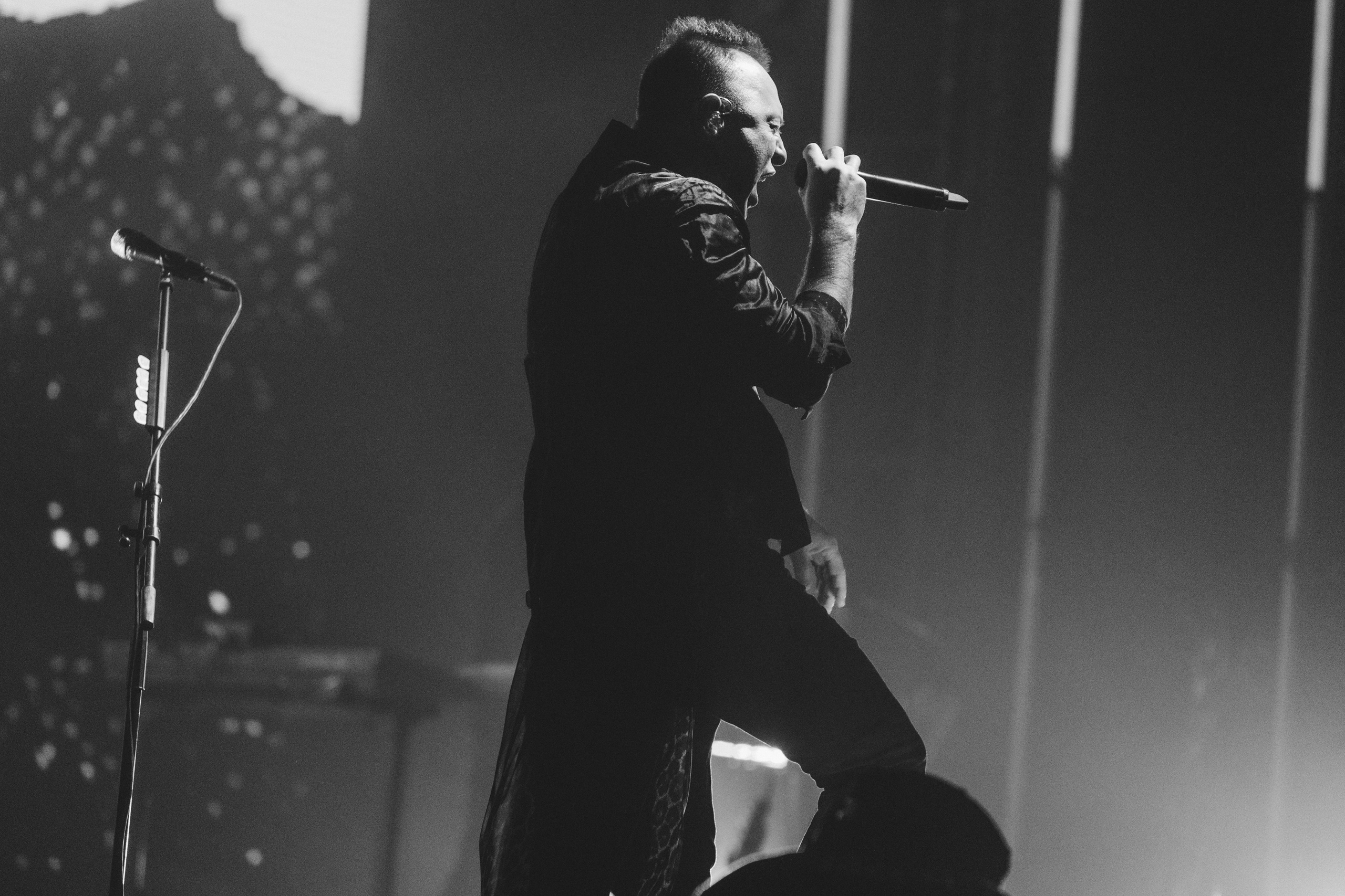 Звери. Свадебный и Репортажный фотограф Нижний Новгород Москва Ежов Иван