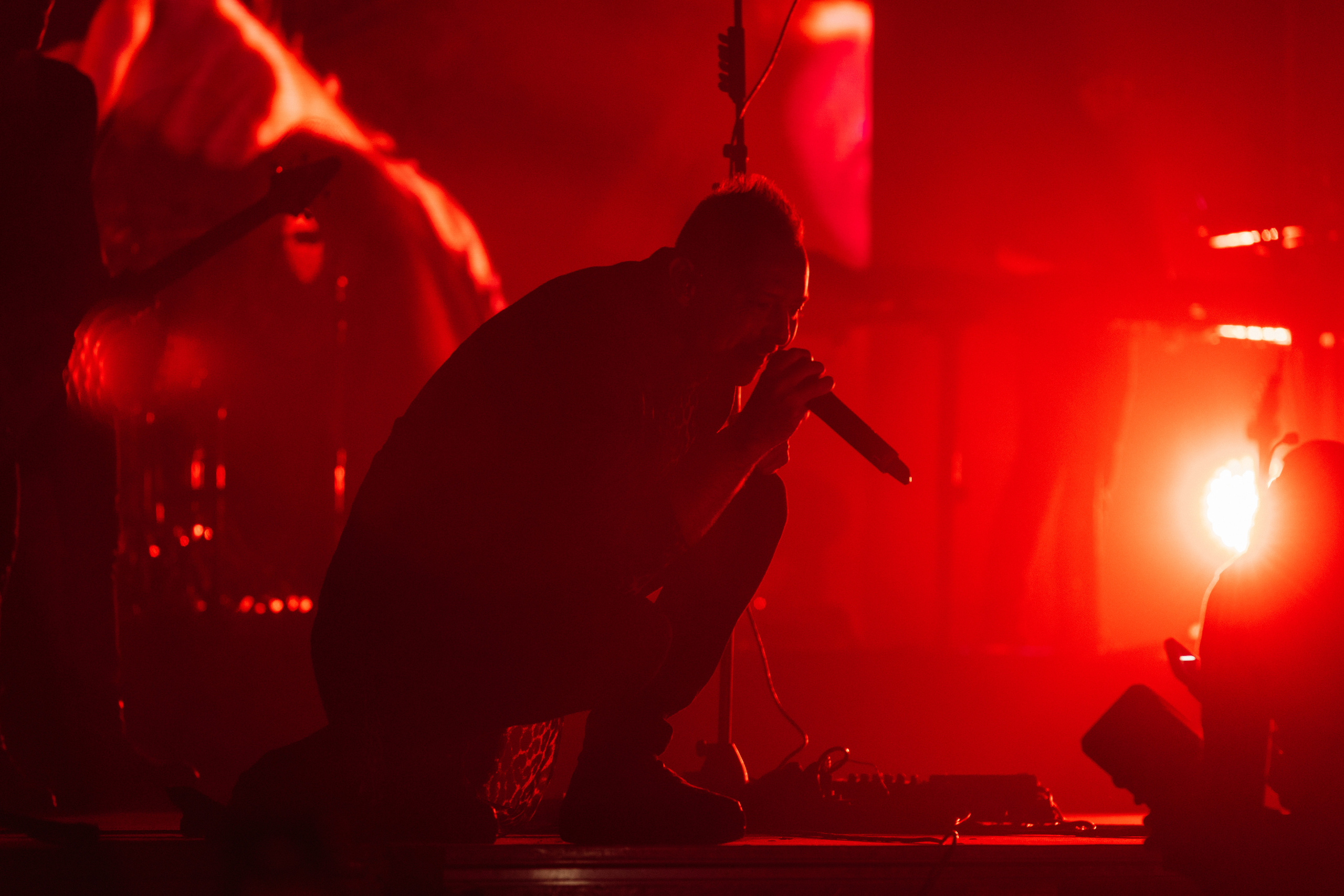 Звери. Свадебный и Репортажный фотограф Нижний Новгород Москва Ежов Иван