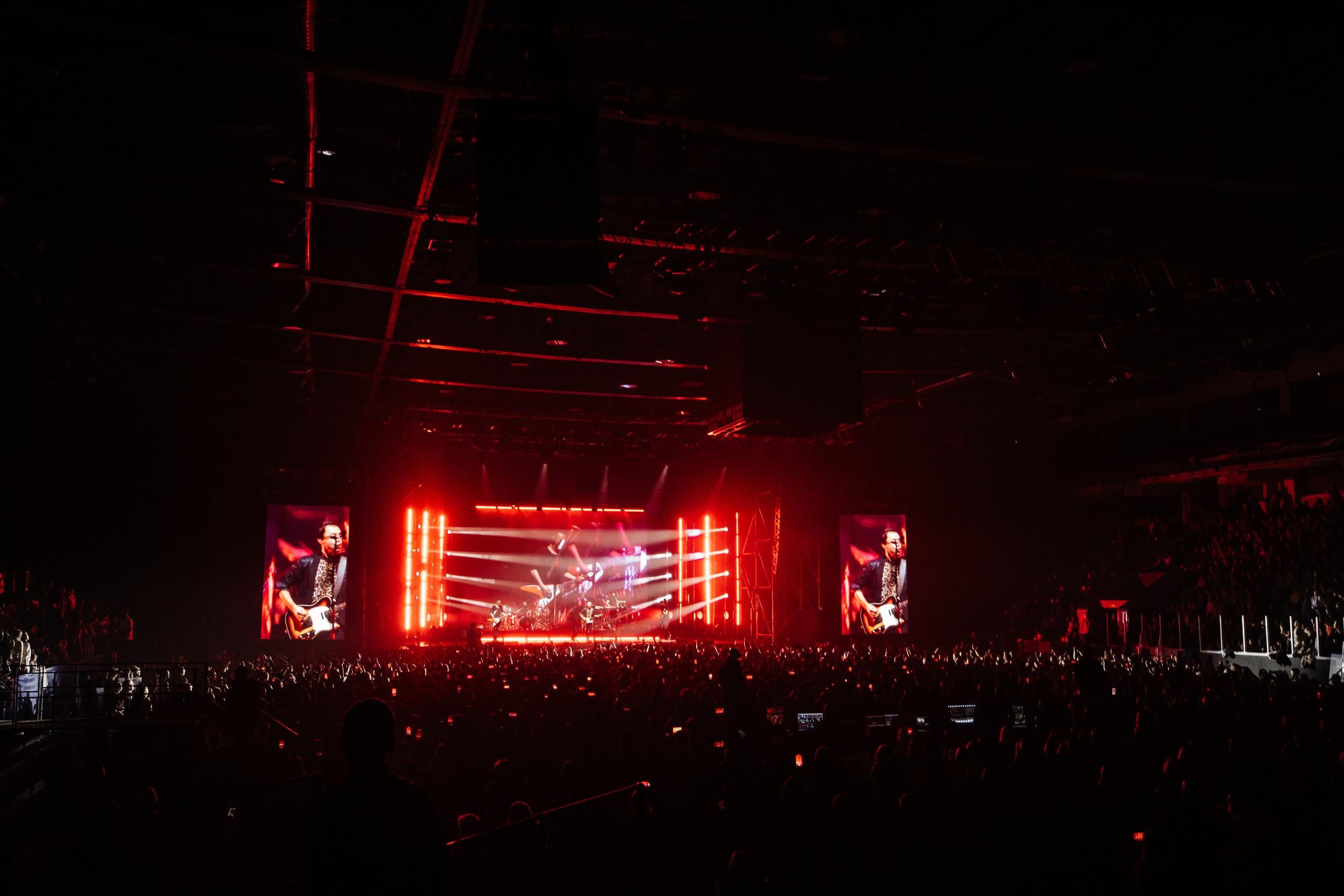 Звери. Свадебный и Репортажный фотограф Нижний Новгород Москва Ежов Иван