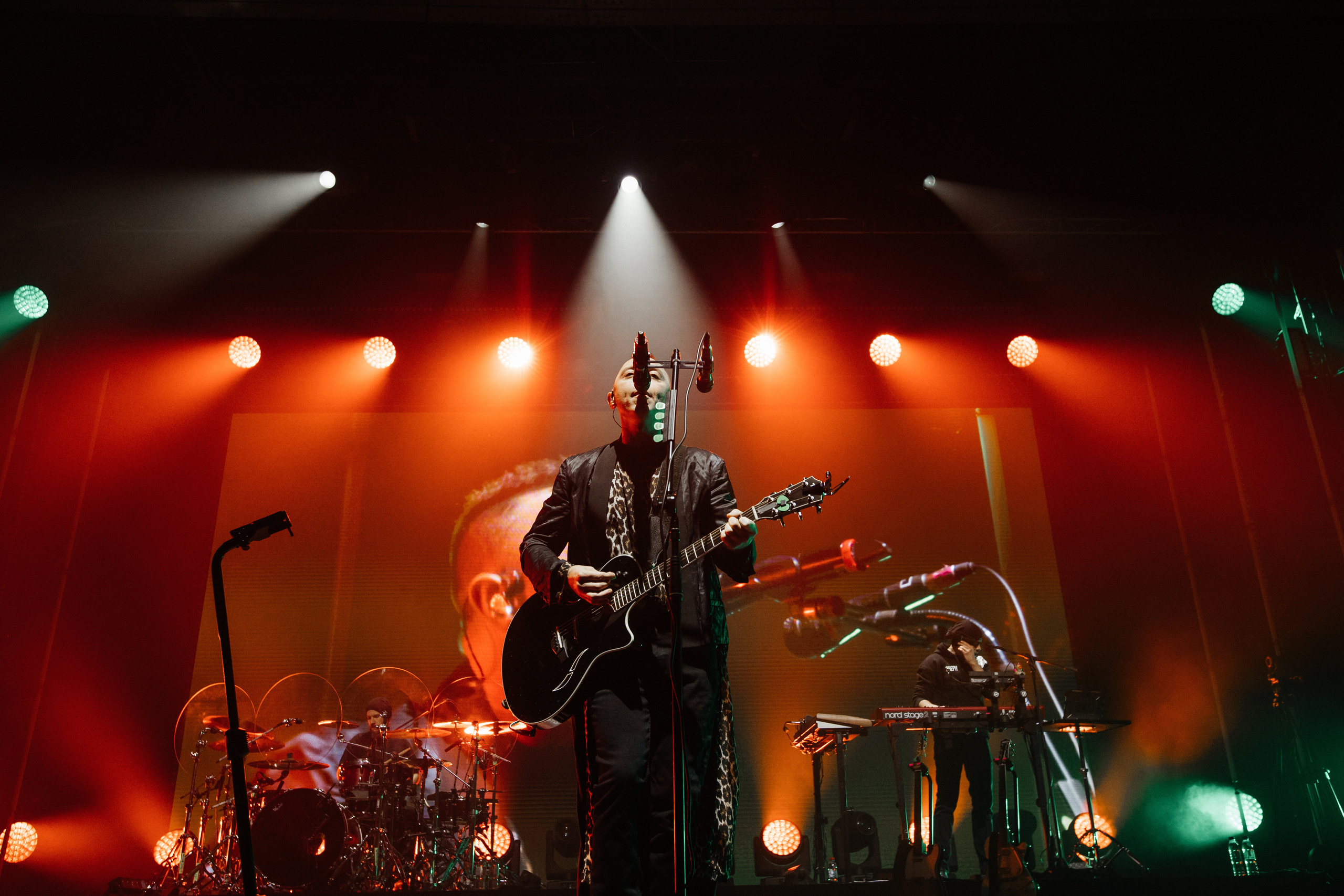 Звери. Свадебный и Репортажный фотограф Нижний Новгород Москва Ежов Иван