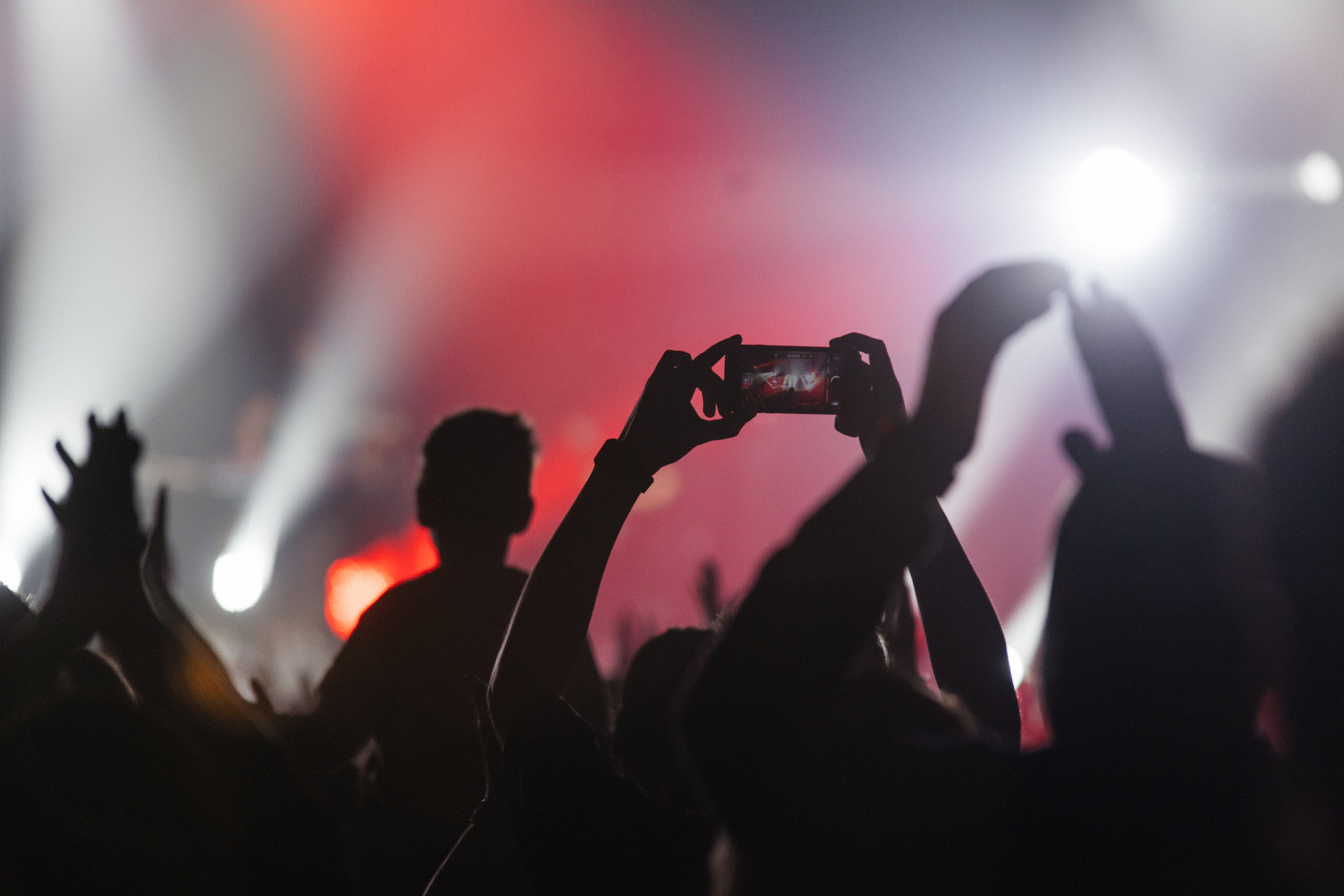 Звери. Свадебный и Репортажный фотограф Нижний Новгород Москва Ежов Иван