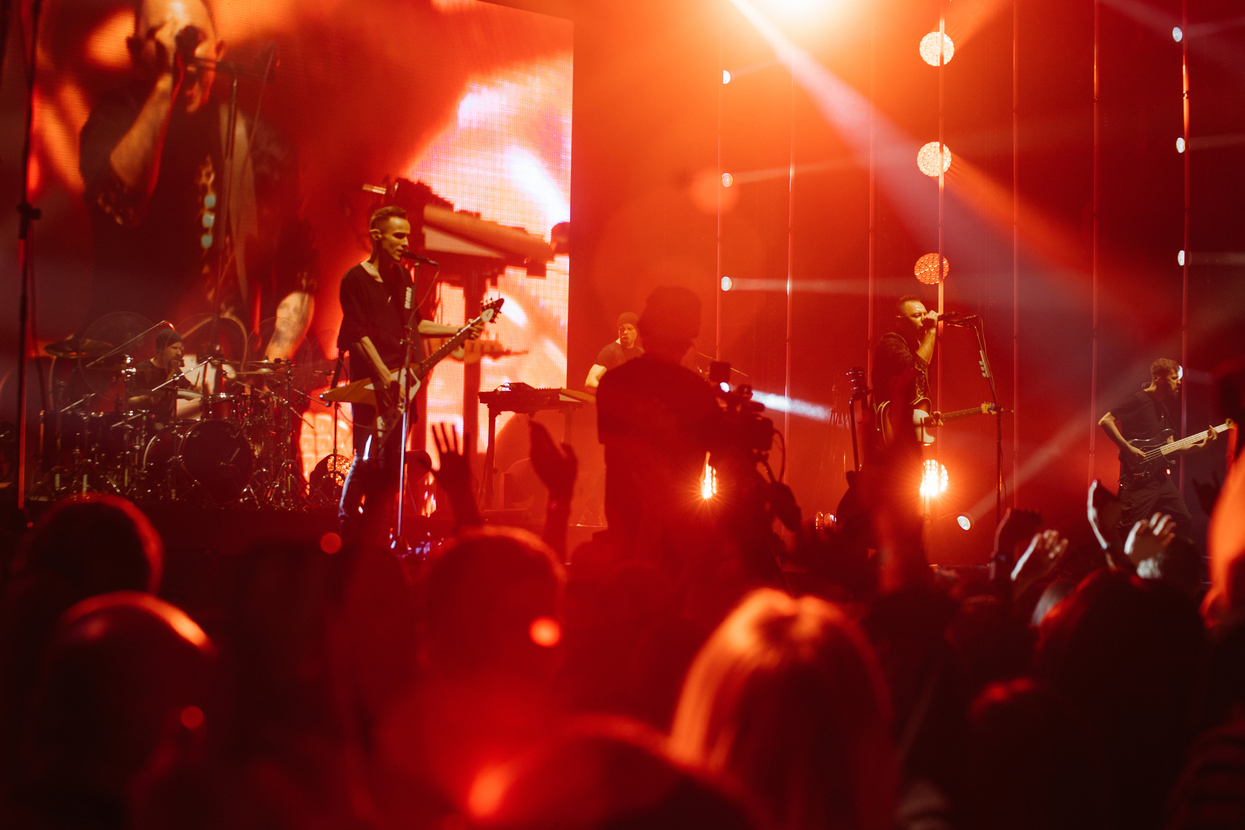 Звери. Свадебный и Репортажный фотограф Нижний Новгород Москва Ежов Иван