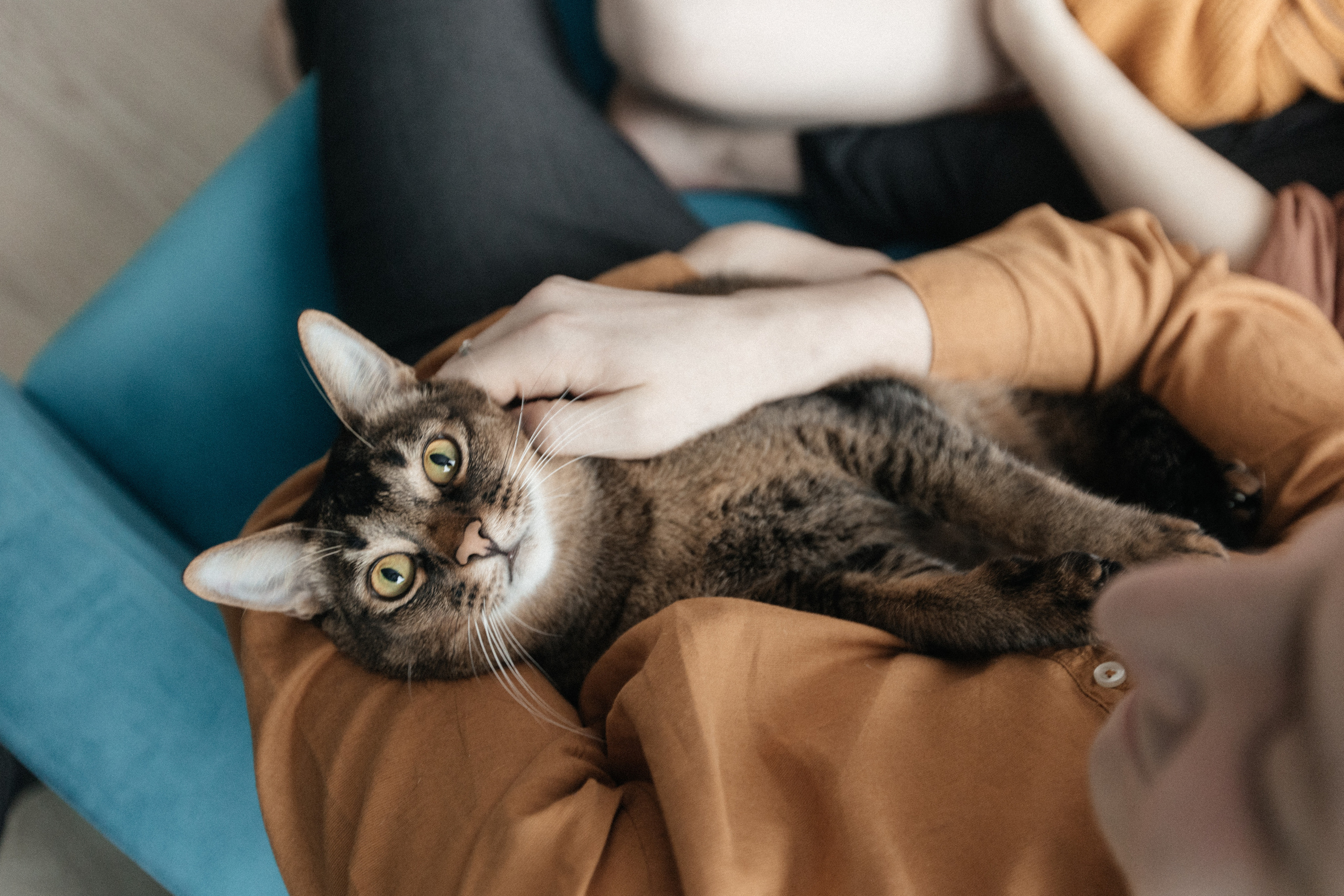 Гоша Ксюша Гриша. Свадебный и Репортажный фотограф Нижний Новгород Москва Ежов Иван