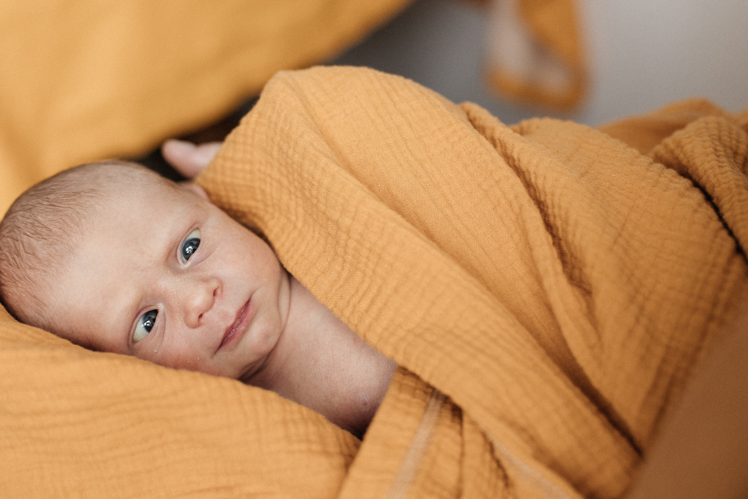 Гоша Ксюша Гриша. Свадебный и Репортажный фотограф Нижний Новгород Москва Ежов Иван
