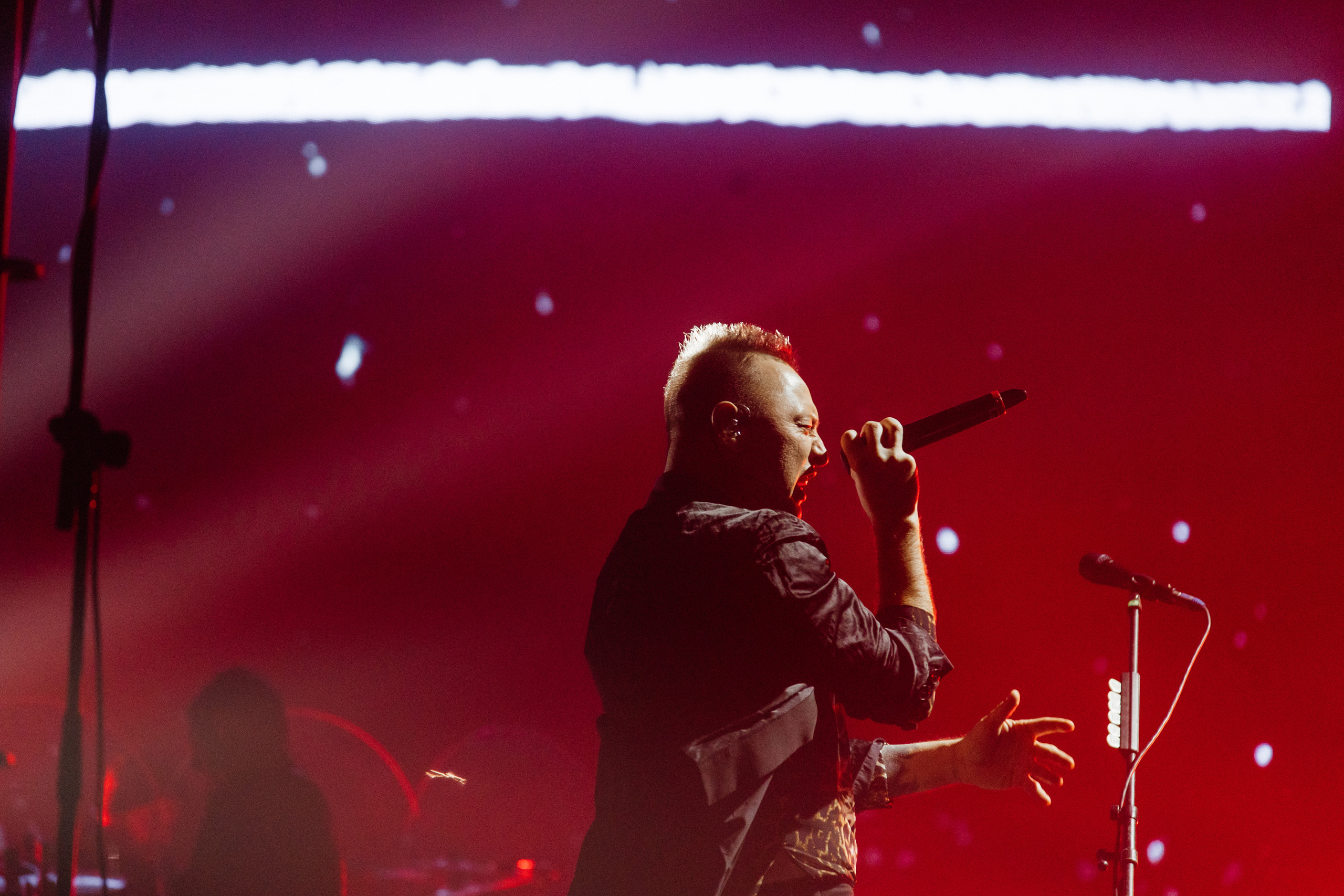 Звери. Свадебный и Репортажный фотограф Нижний Новгород Москва Ежов Иван