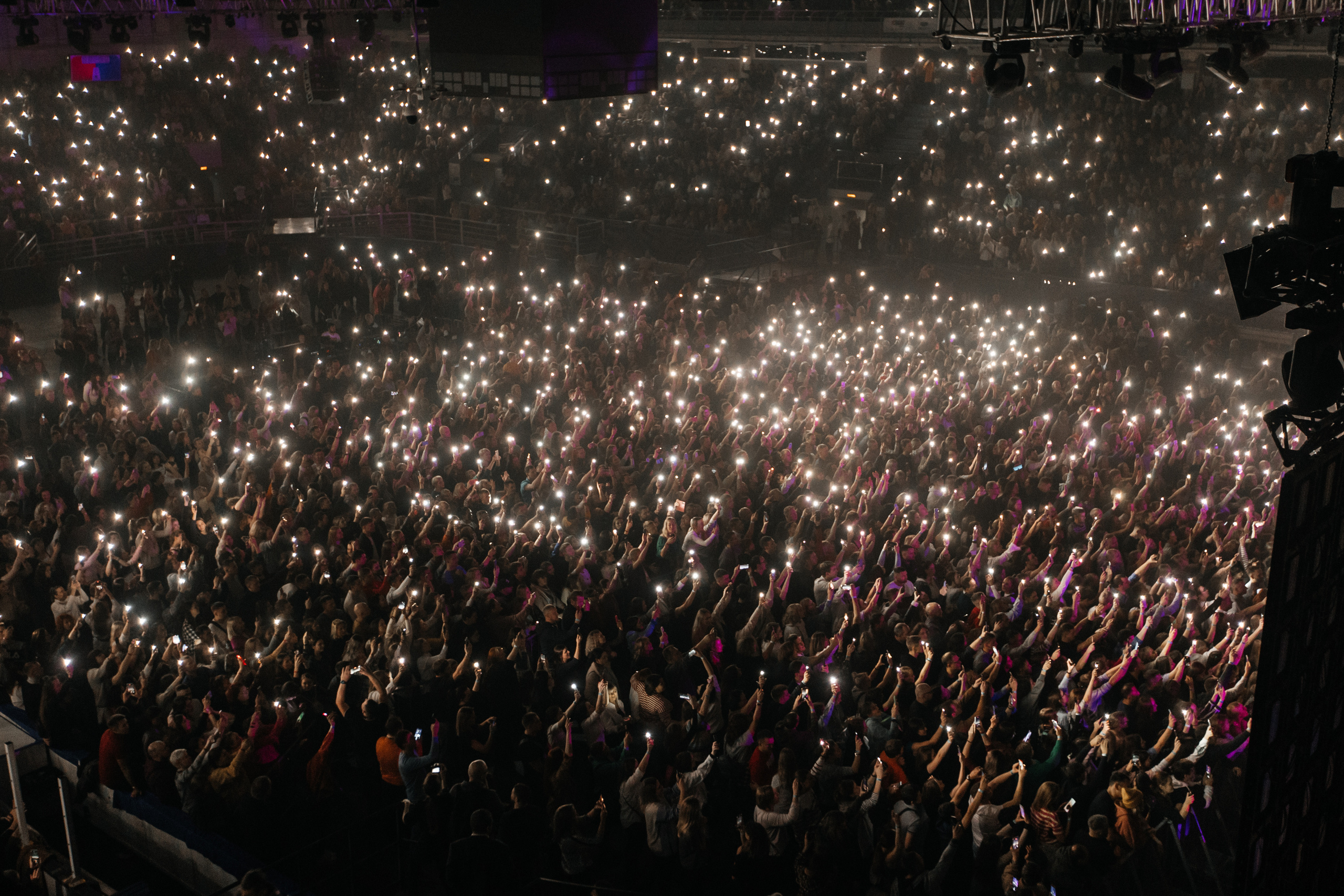 Звери. Свадебный и Репортажный фотограф Нижний Новгород Москва Ежов Иван