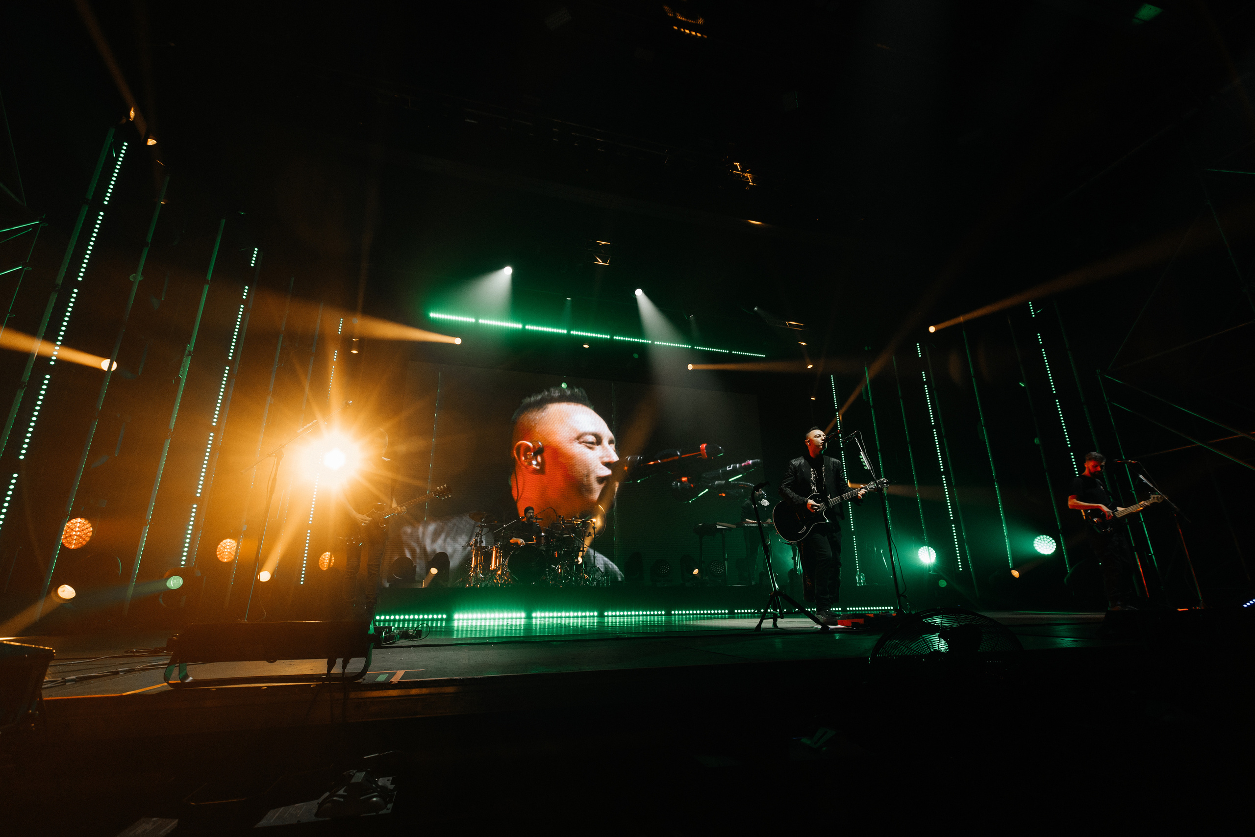 Звери. Свадебный и Репортажный фотограф Нижний Новгород Москва Ежов Иван