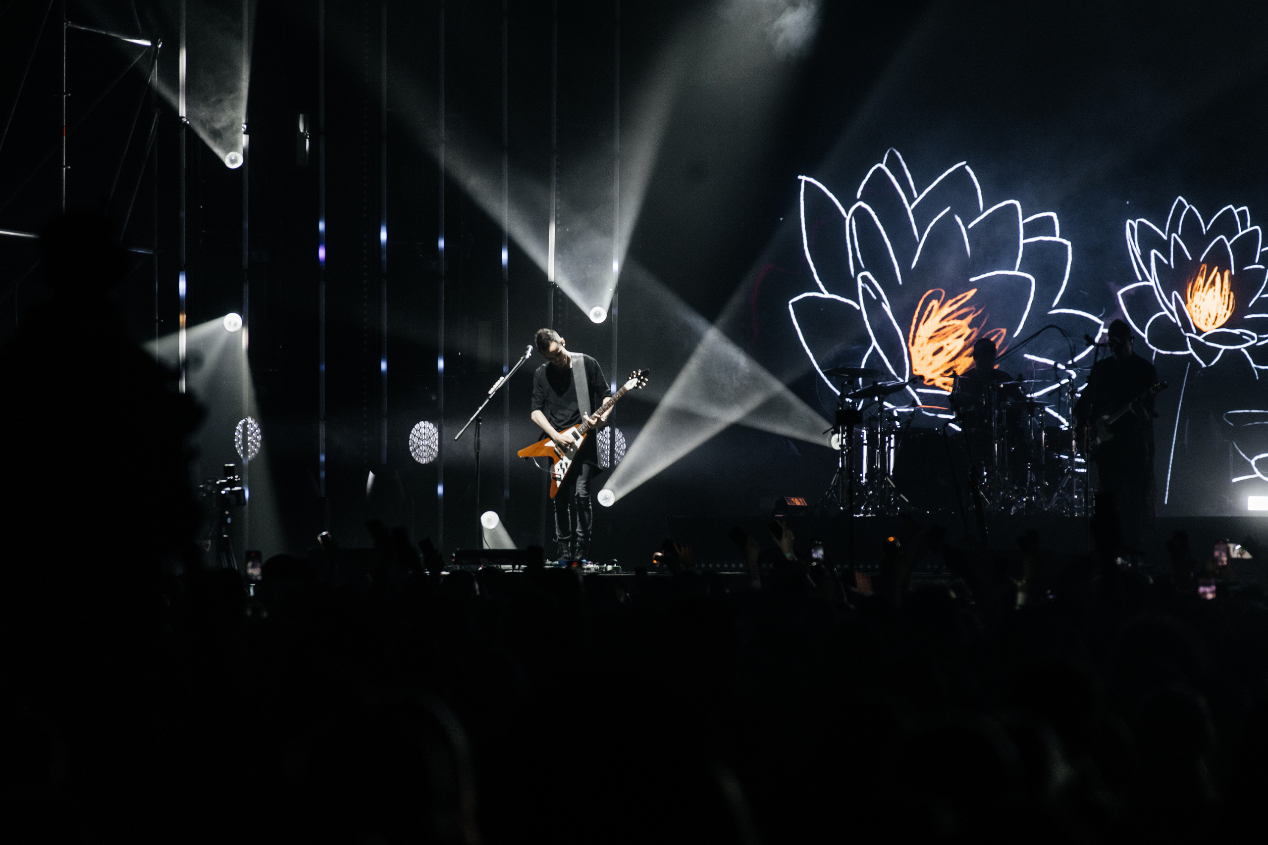 Звери. Свадебный и Репортажный фотограф Нижний Новгород Москва Ежов Иван