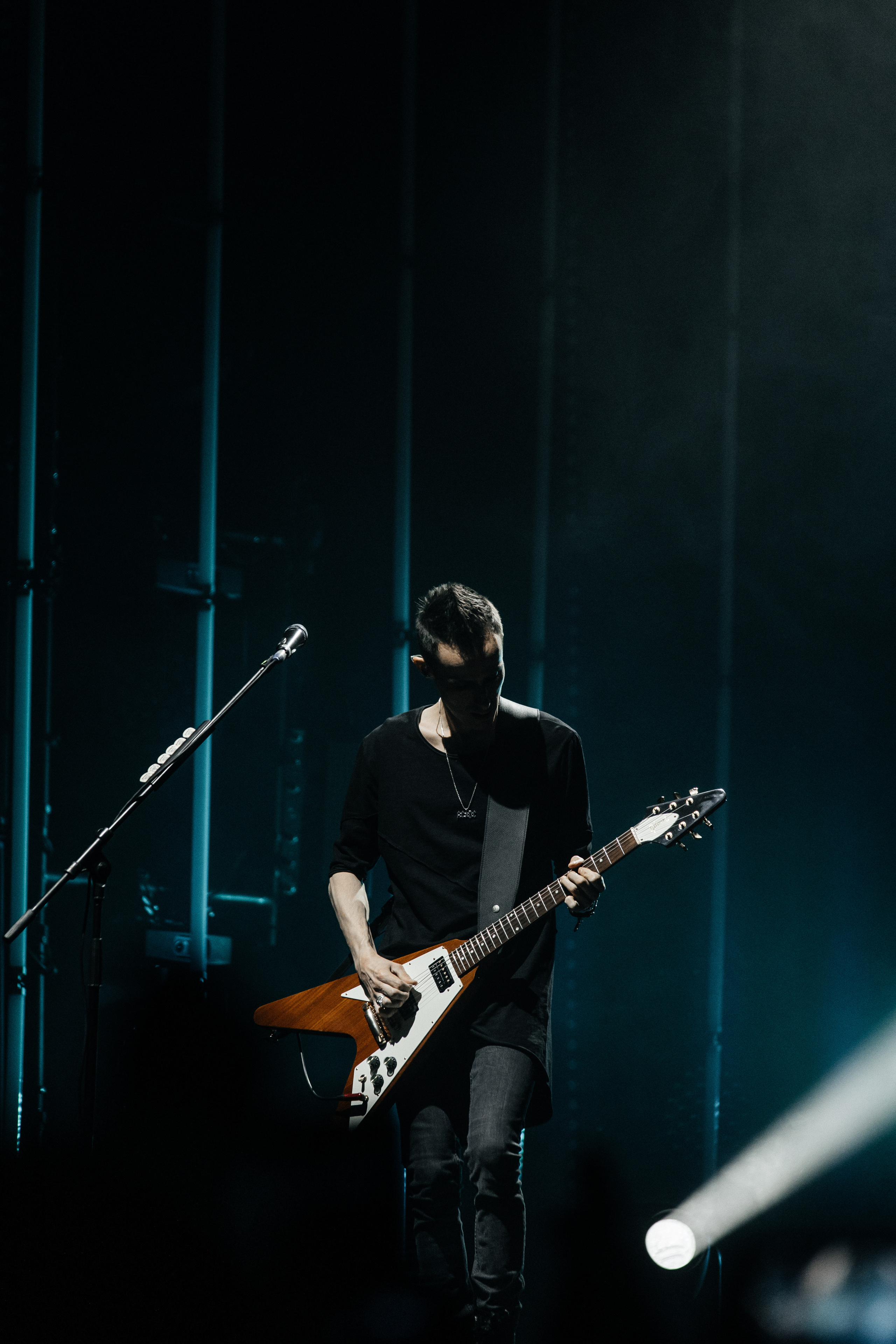 Звери. Свадебный и Репортажный фотограф Нижний Новгород Москва Ежов Иван