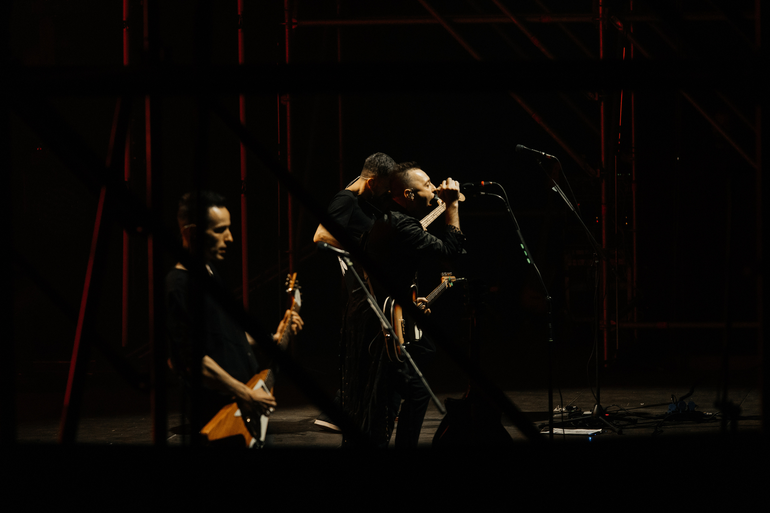 Звери. Свадебный и Репортажный фотограф Нижний Новгород Москва Ежов Иван