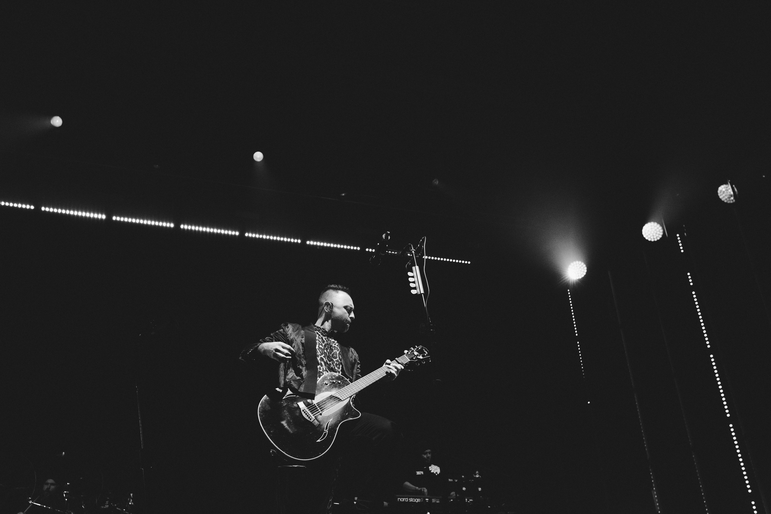 Звери. Свадебный и Репортажный фотограф Нижний Новгород Москва Ежов Иван