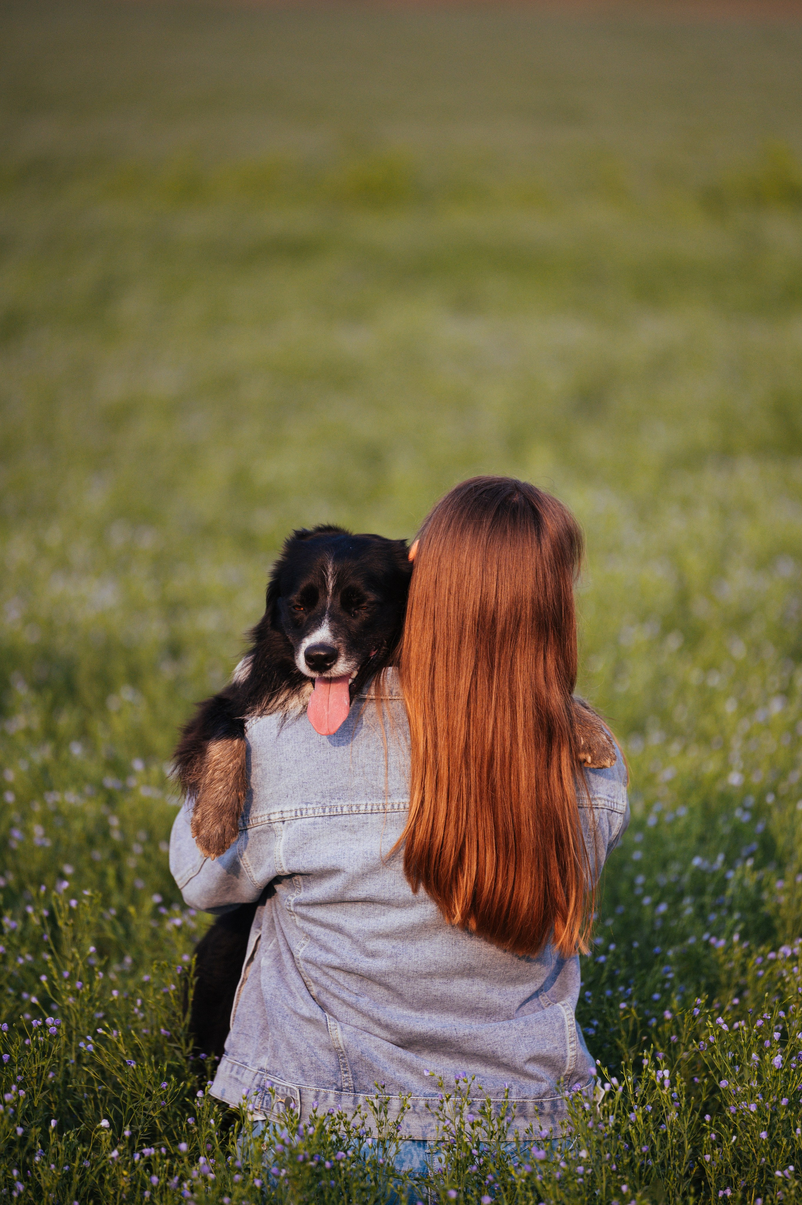 Прогулка на рассвете с бордер-колли. Фотограф в Ростове —на — Дону