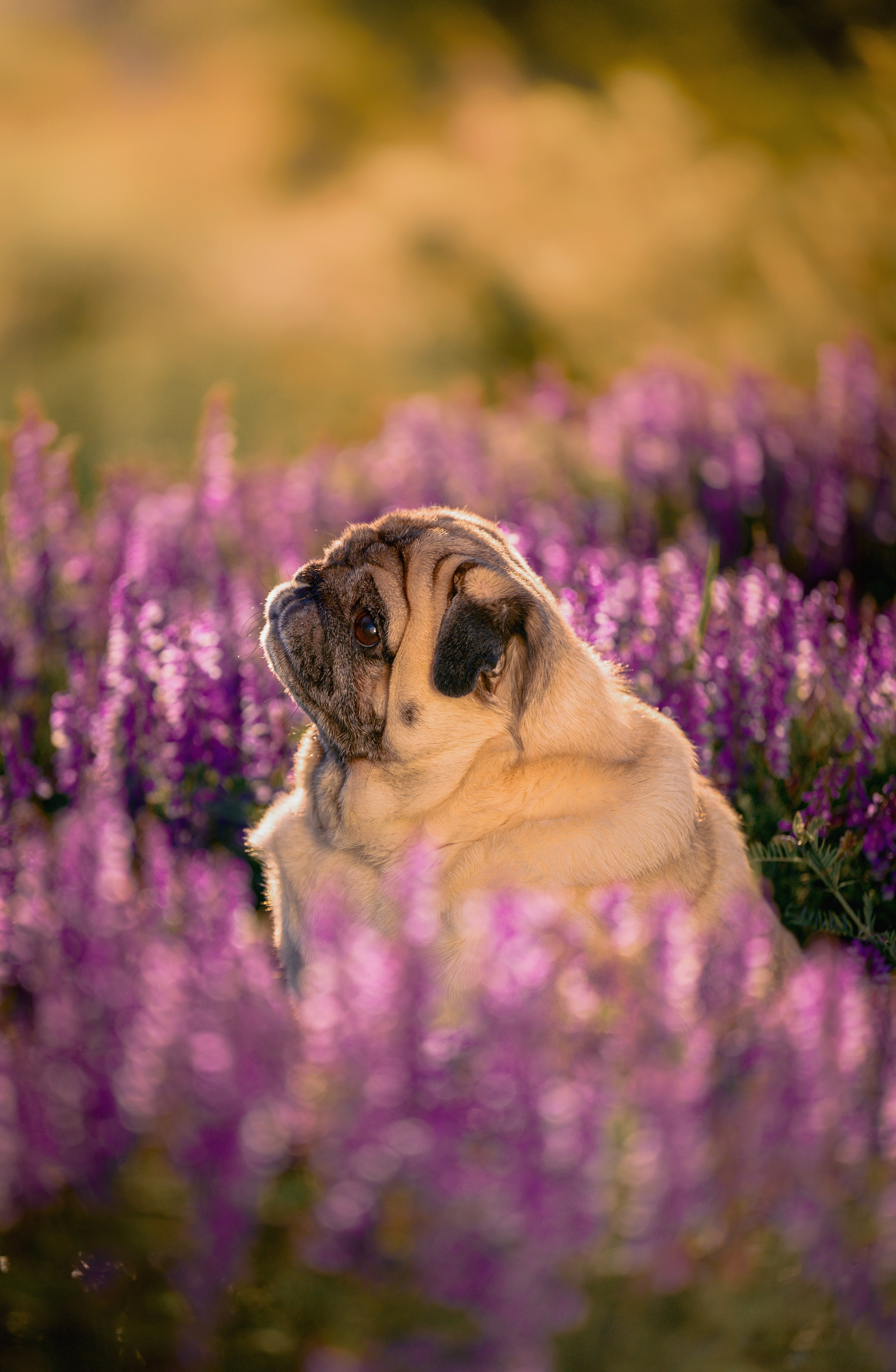 Весенняя прогулка. Фотограф в Ростове —на — Дону