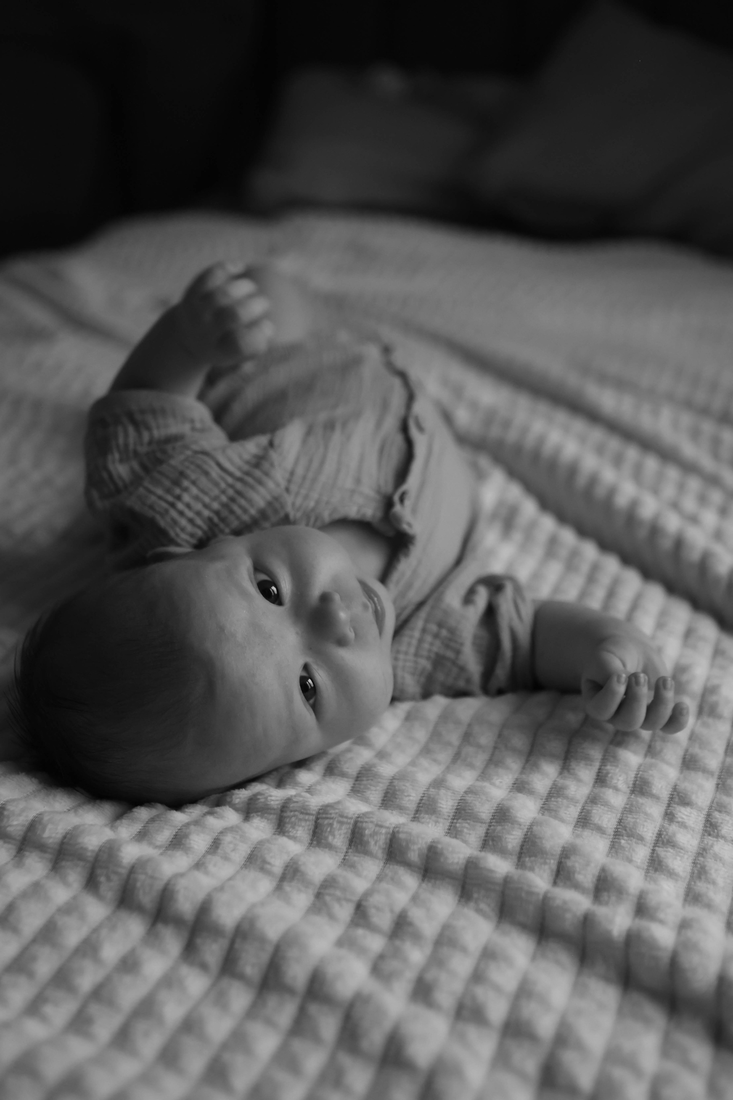 Тимоша. Наталья Косьянова. Ваш фотограф. Москва