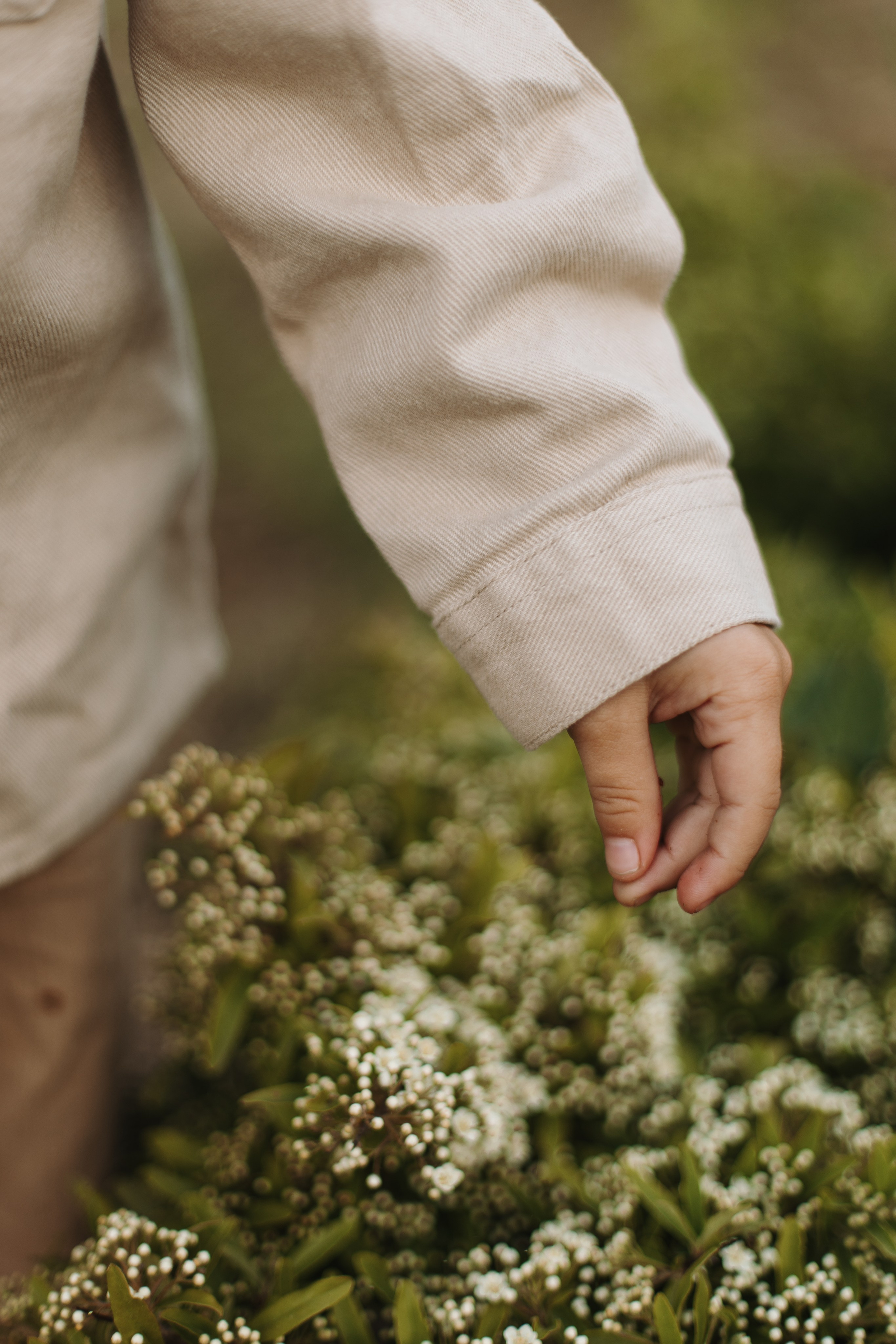 Summer Picnic. Фотограф на Юге России