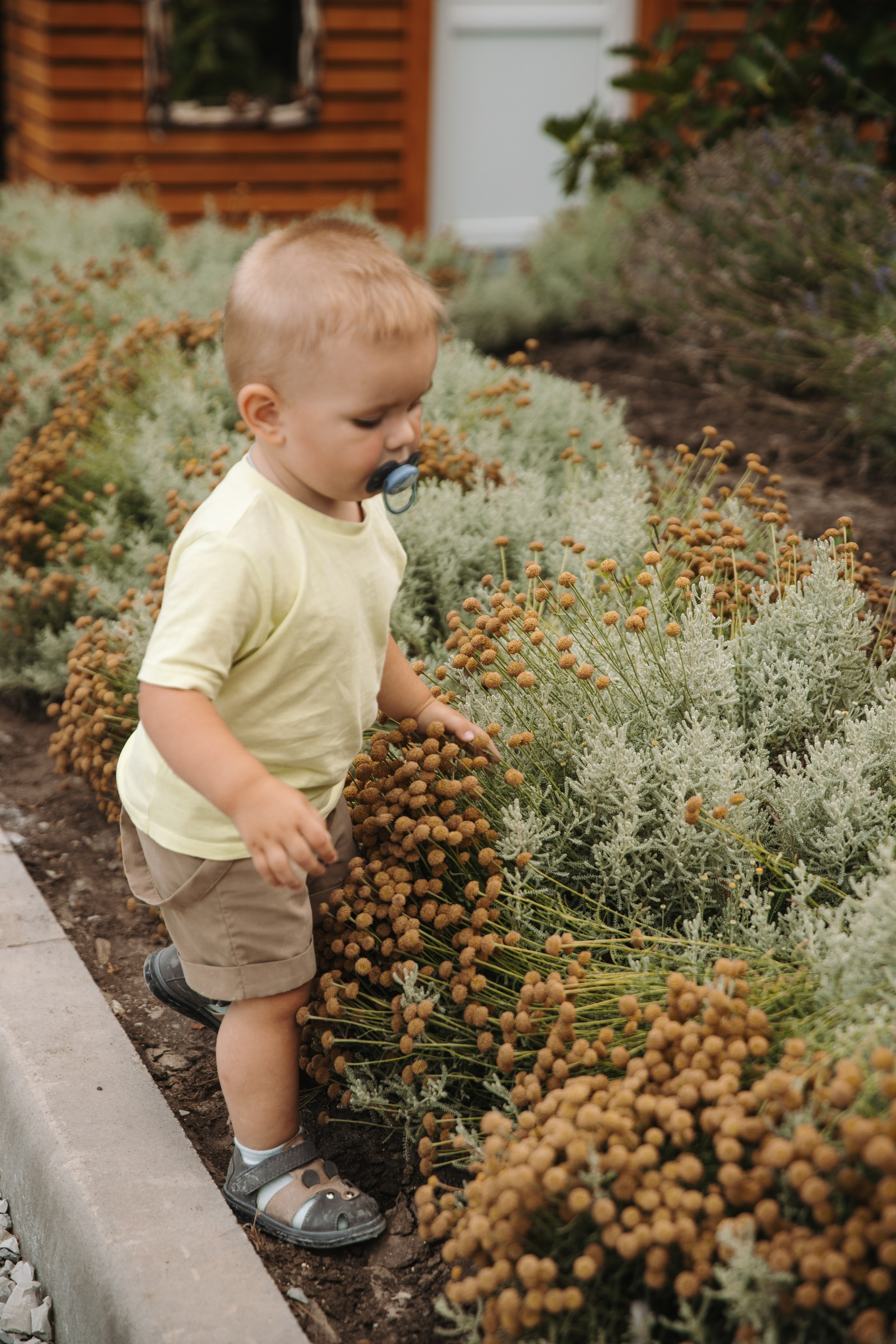 Ocean Hotel. Фотограф на Юге России